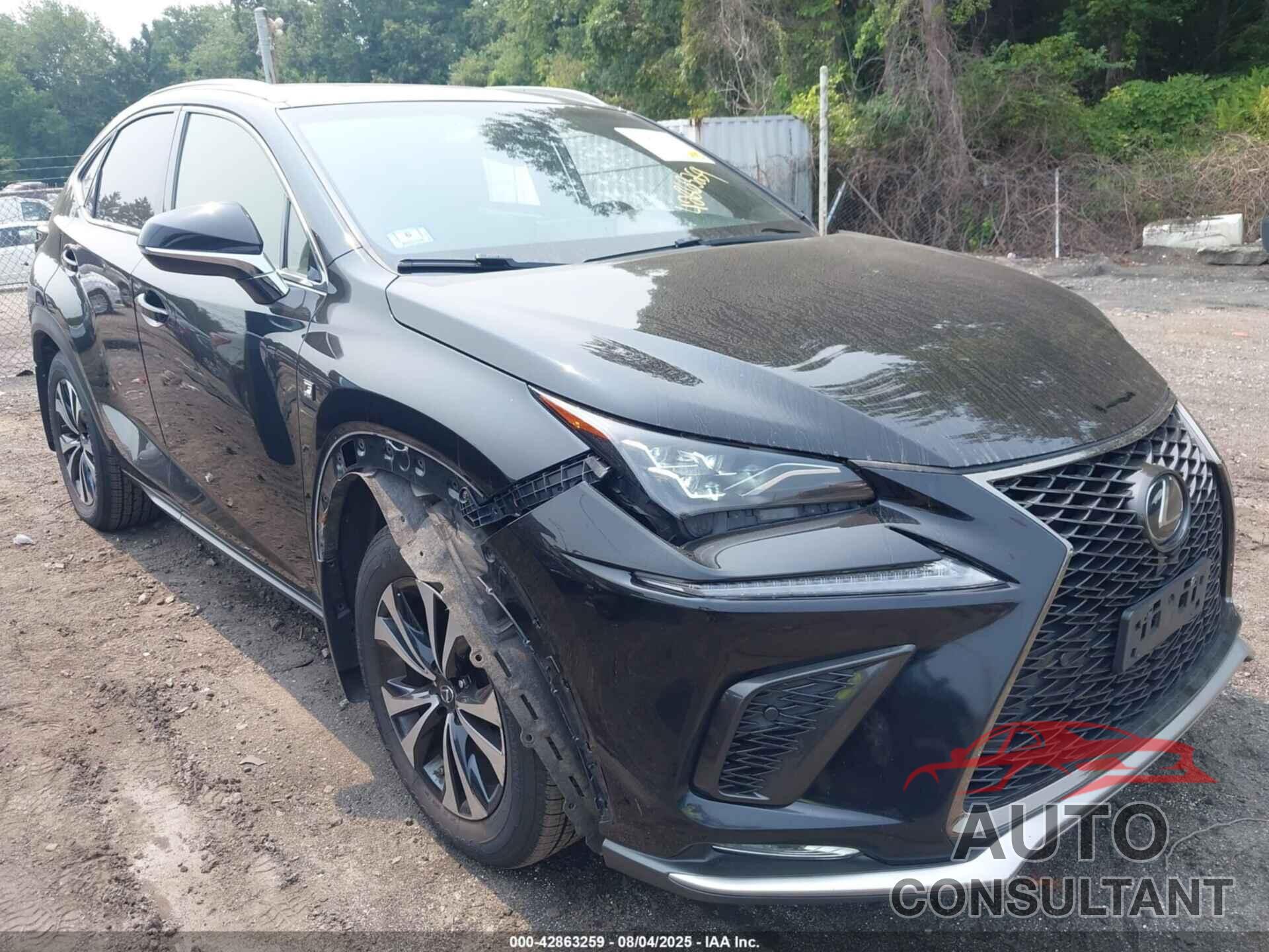 LEXUS NX 300 2018 - JTJBARBZ6J2163325