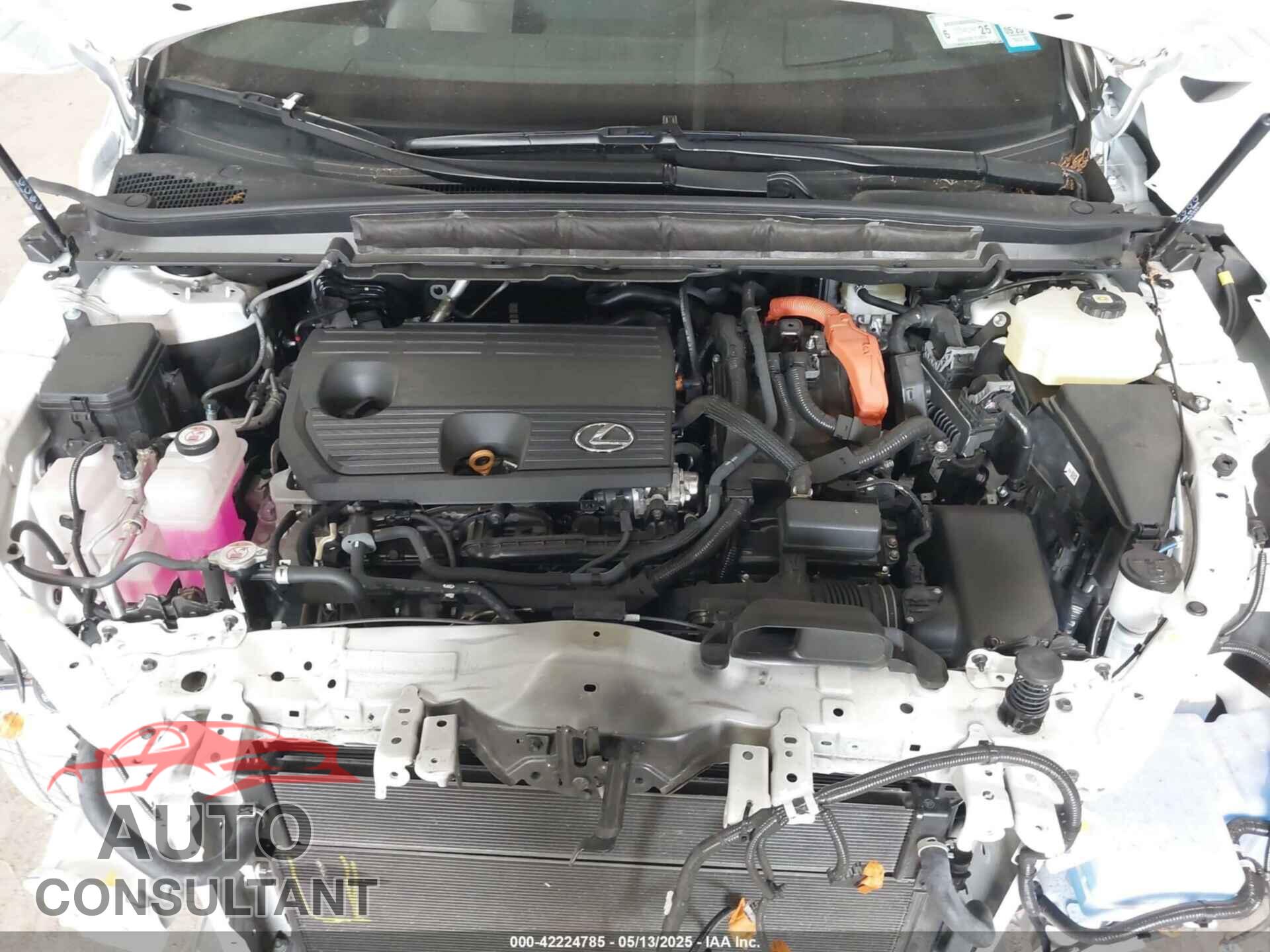LEXUS RX 350H 2024 - 2T2BBMCA6RC039544