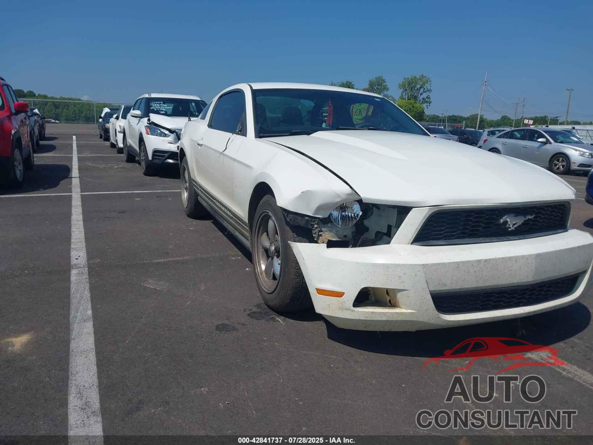FORD MUSTANG 2012 - 1ZVBP8AM6C5253526