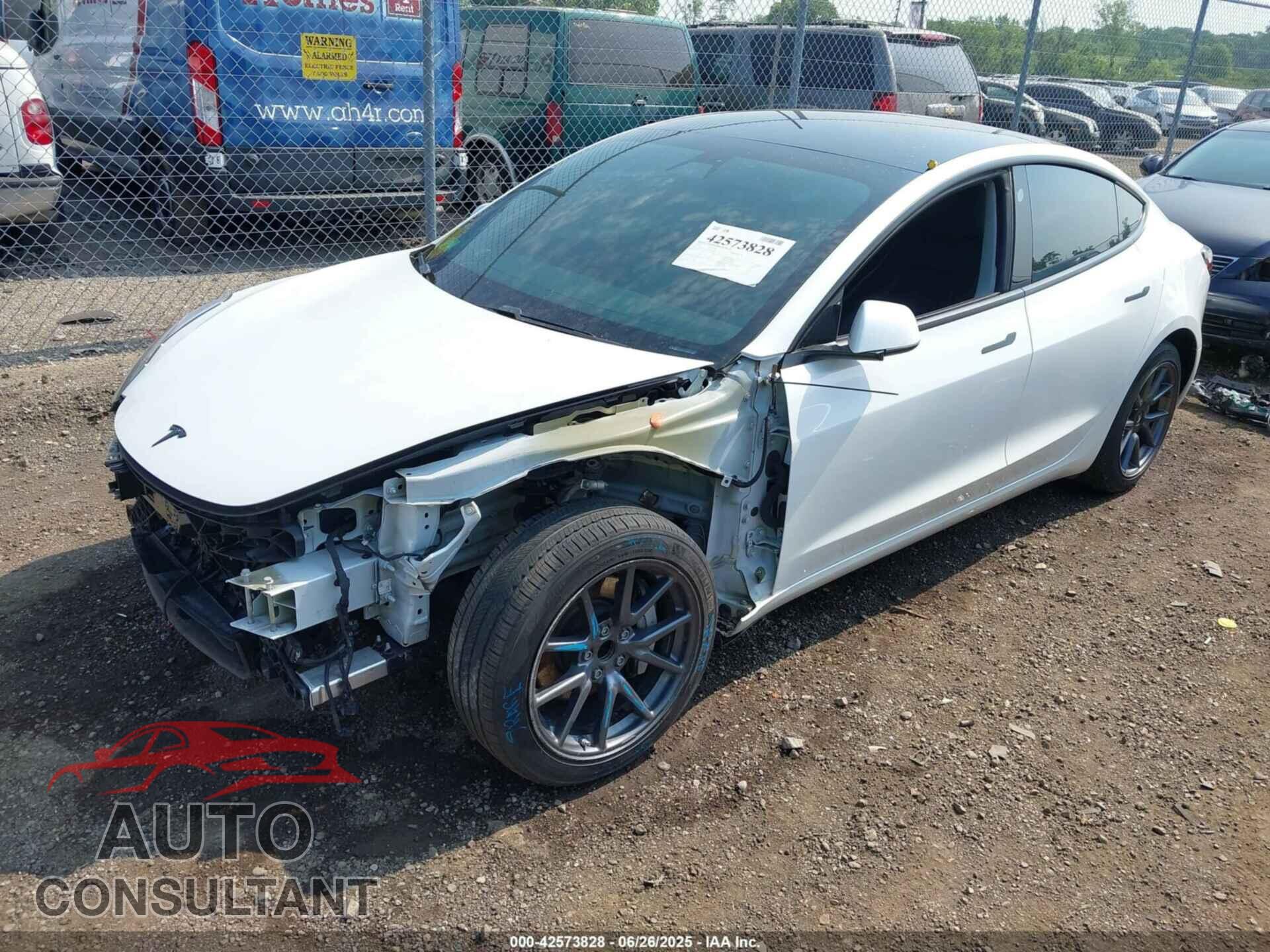 TESLA MODEL 3 2021 - 5YJ3E1EA2MF054168