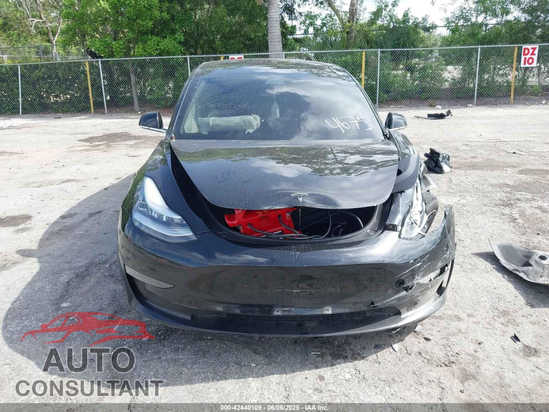 TESLA MODEL 3 2019 - 5YJ3E1EA2KF394675