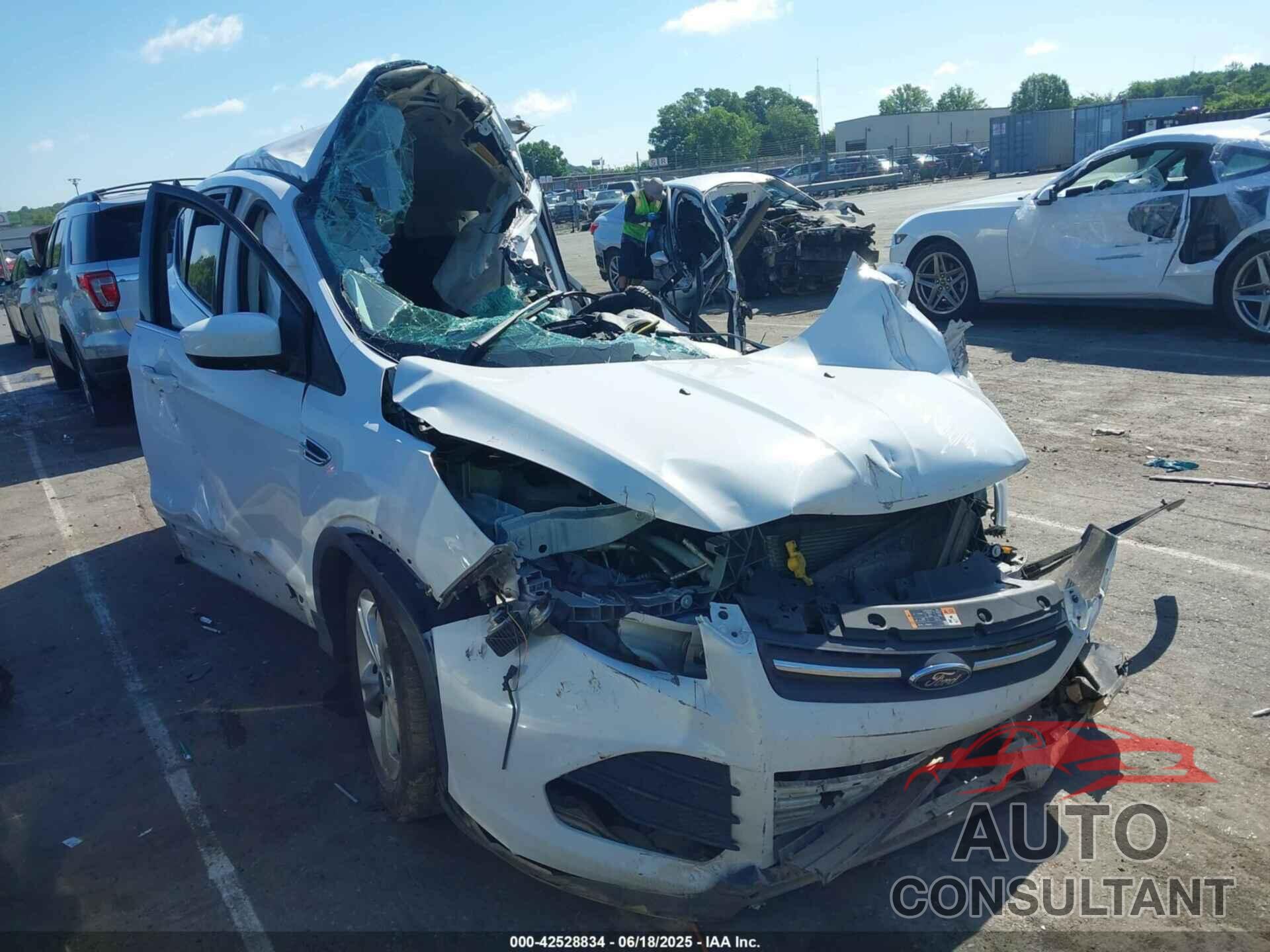 FORD ESCAPE 2014 - 1FMCU9GX0EUD88237