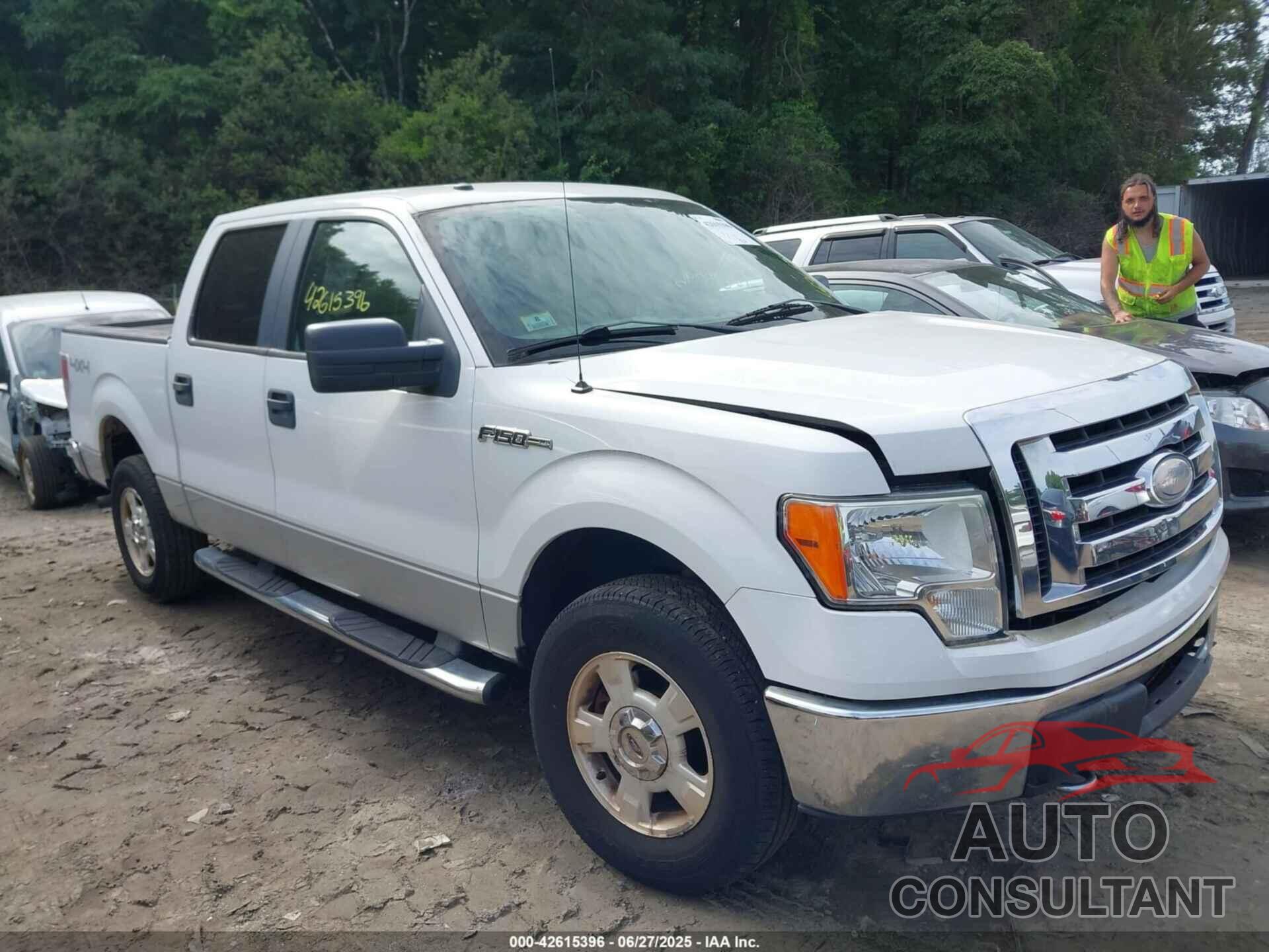 FORD F-150 2009 - 1FTRW14839FA38442