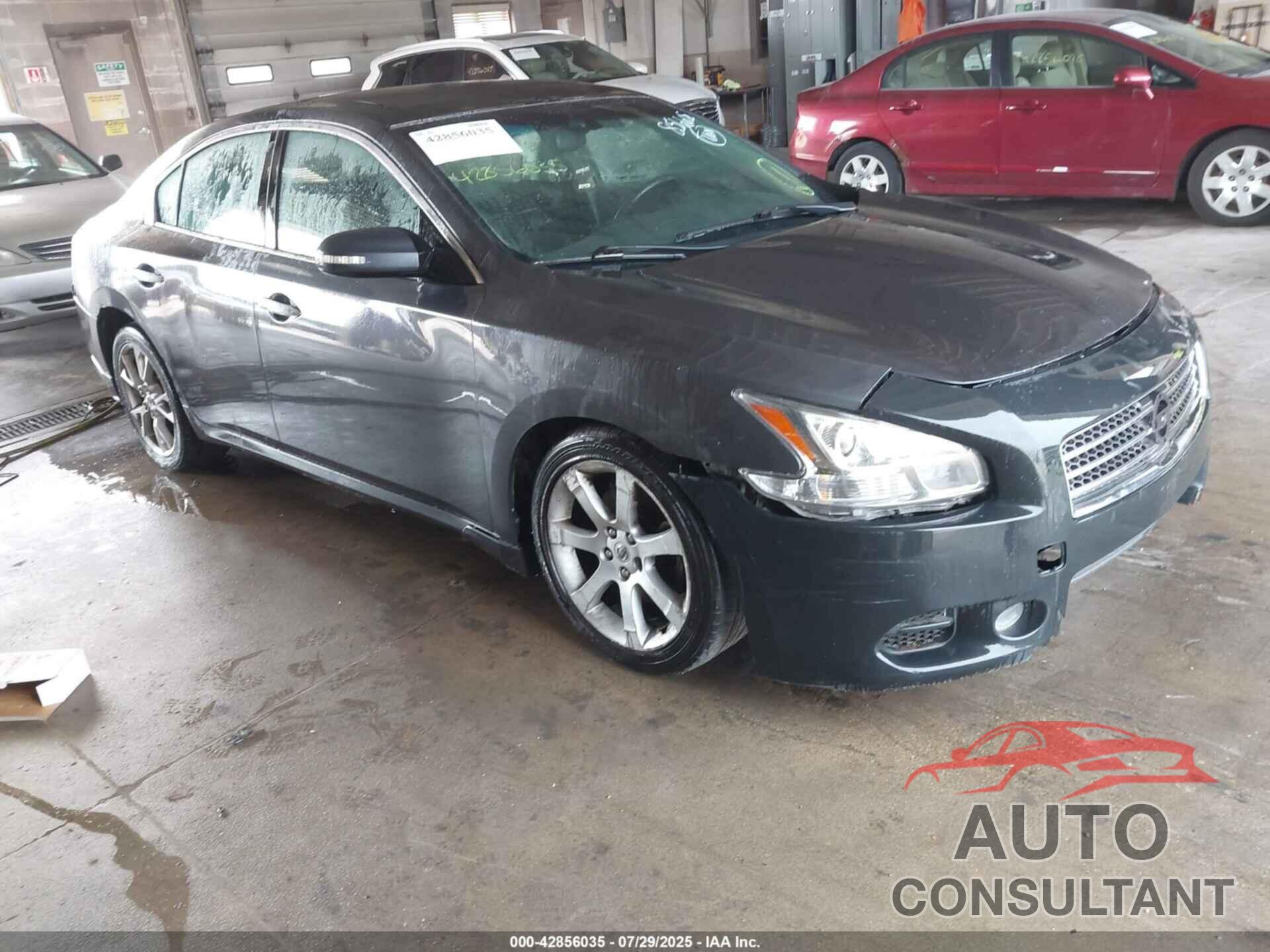 NISSAN MAXIMA 2010 - 1N4AA5AP0AC856608