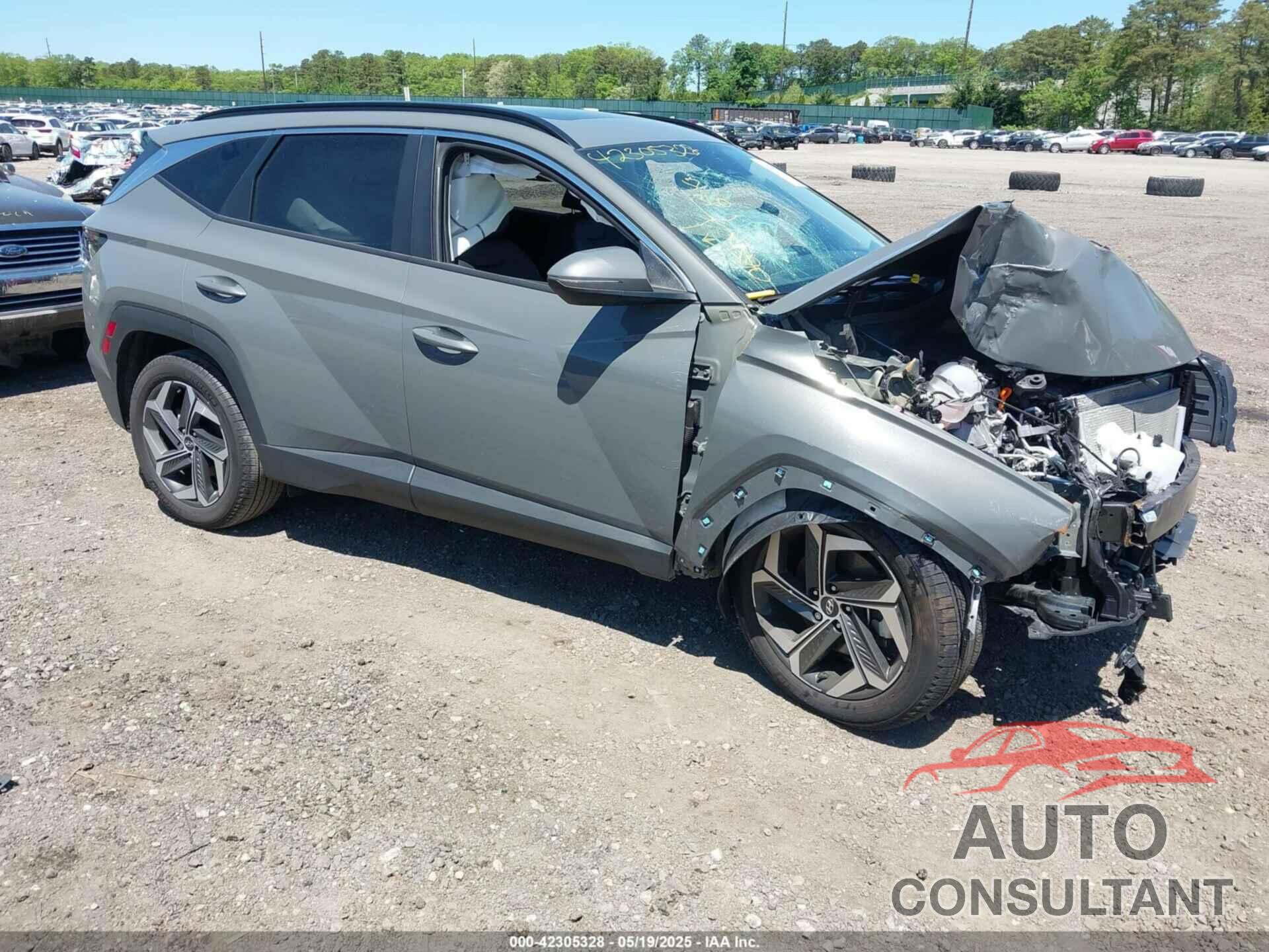 HYUNDAI TUCSON 2024 - 5NMJFCDE8RH366683