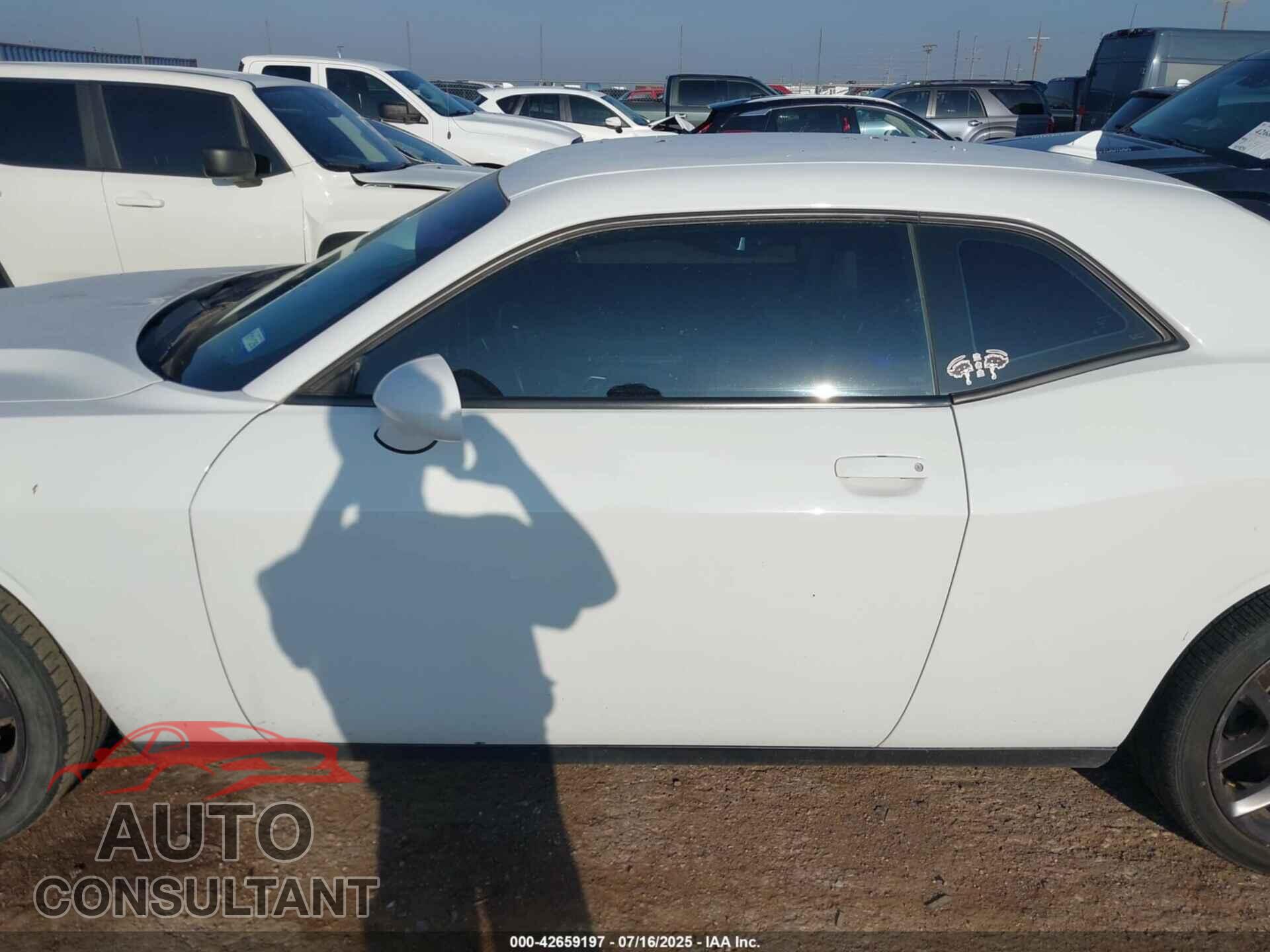 DODGE CHALLENGER 2019 - 2C3CDZAG8KH751495