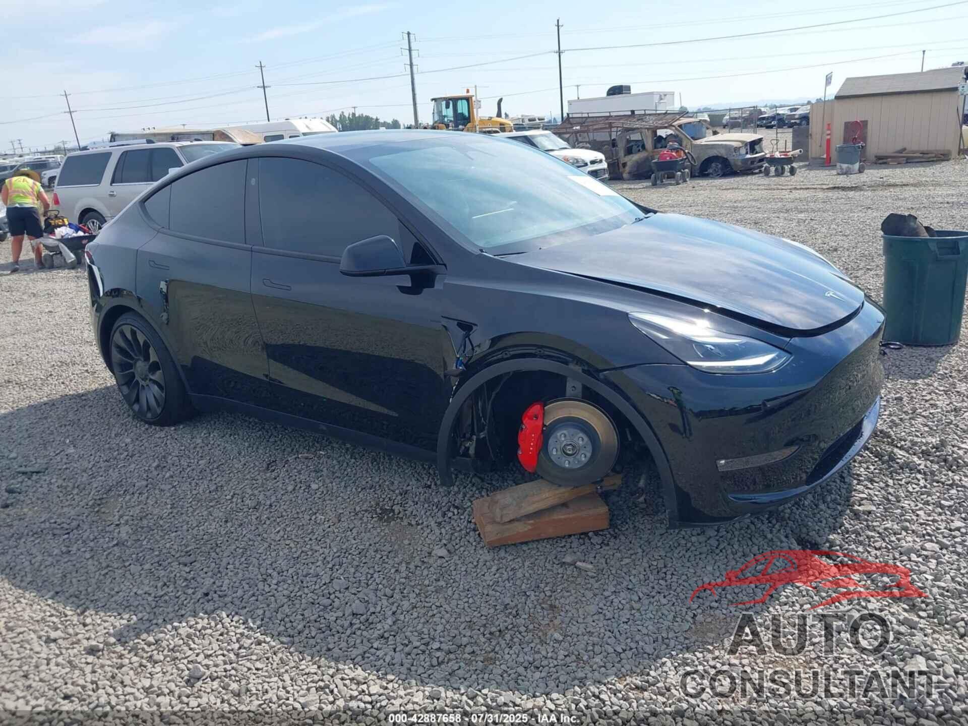 TESLA MODEL Y 2024 - 7SAYGDEF8RF162737