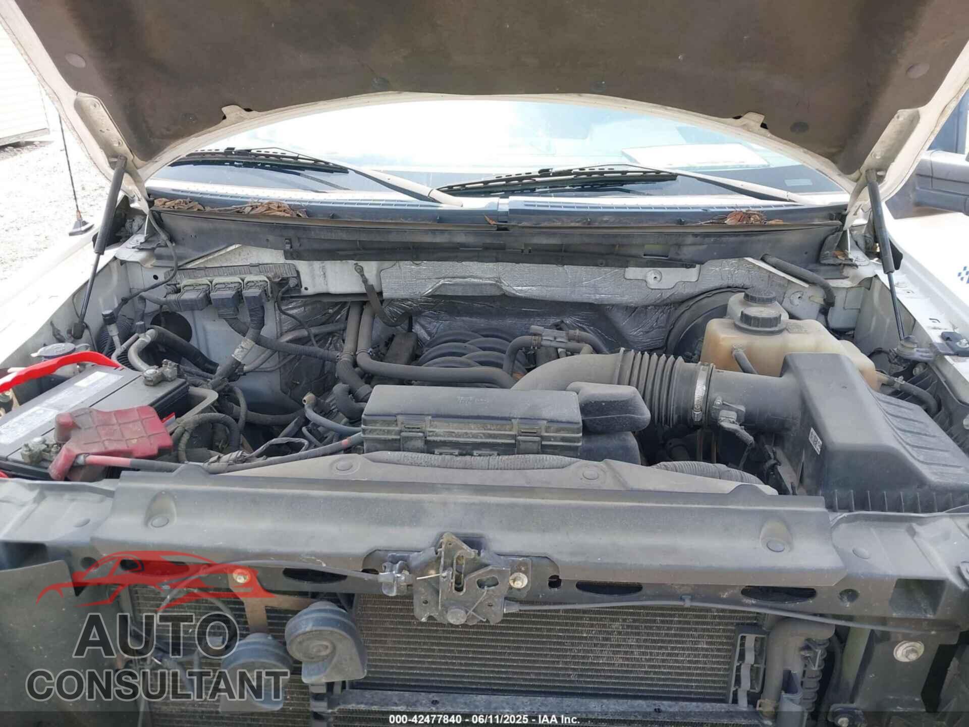 FORD F-150 2013 - 1FTFX1CF1DFA19445