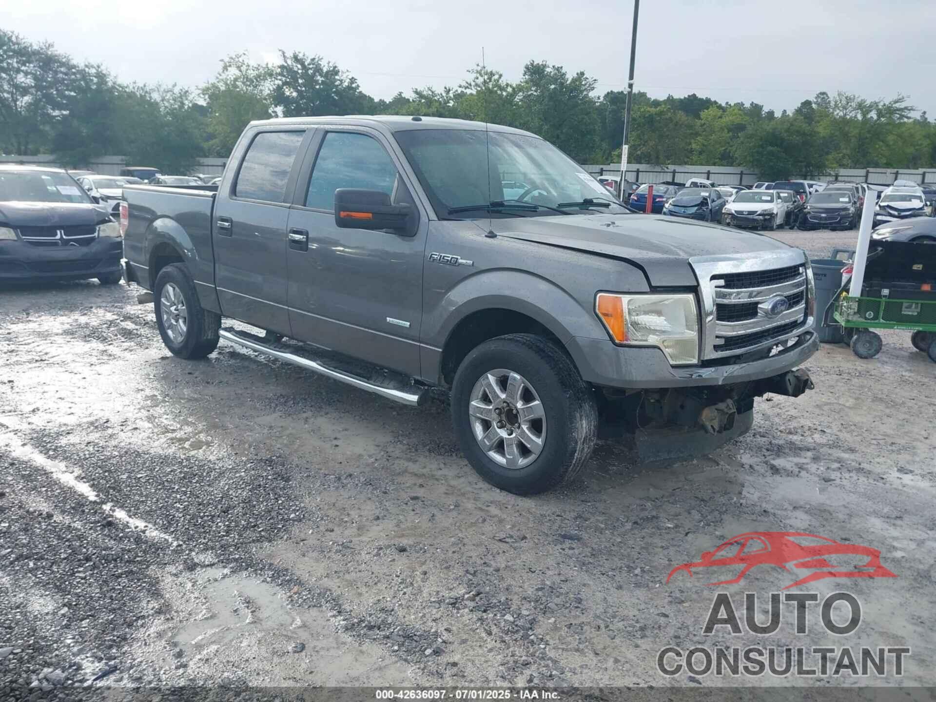 FORD F-150 2013 - 1FTFW1CT8DFC71380