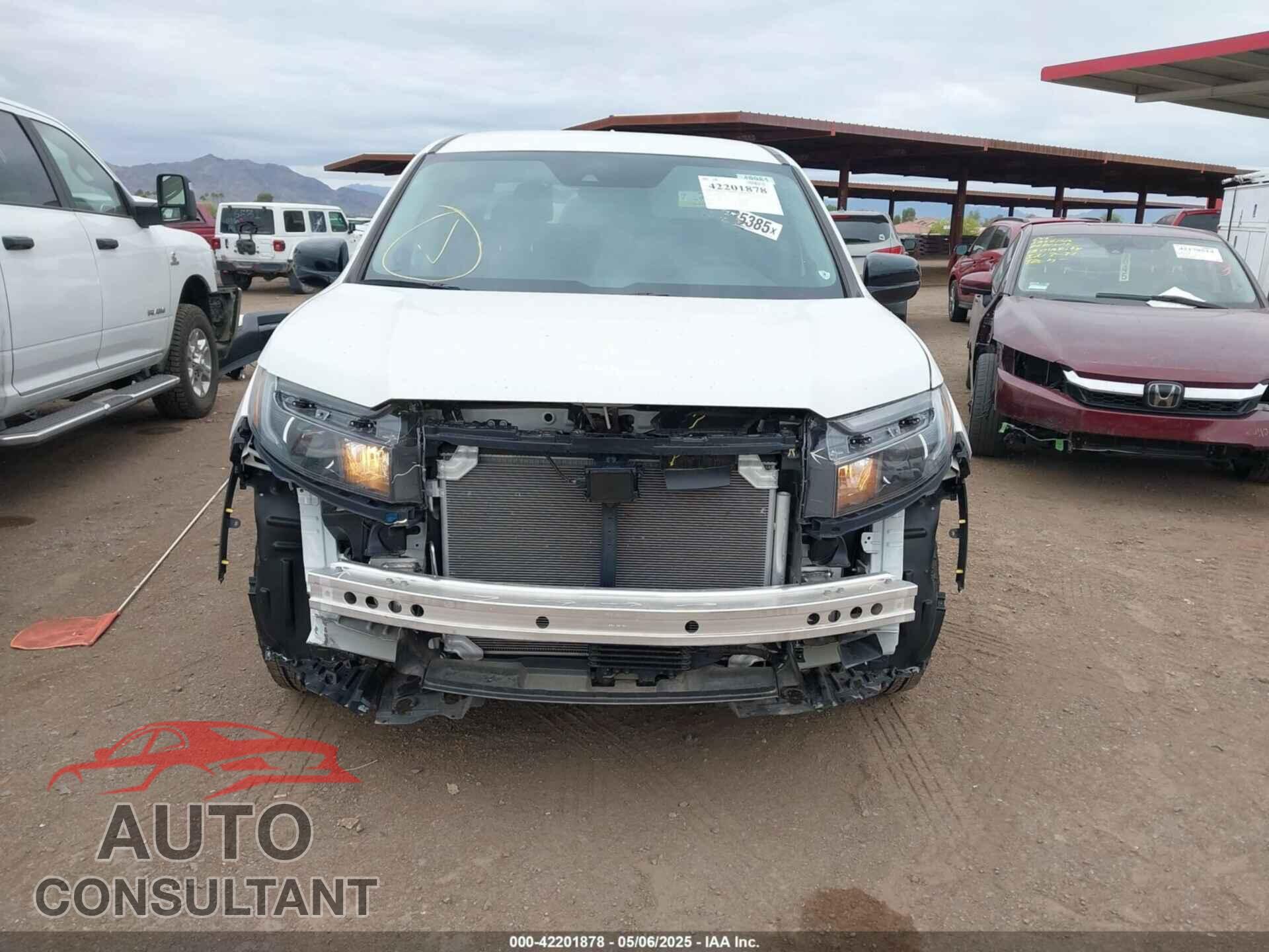 HONDA RIDGELINE 2024 - 5FPYK3F11RB014302