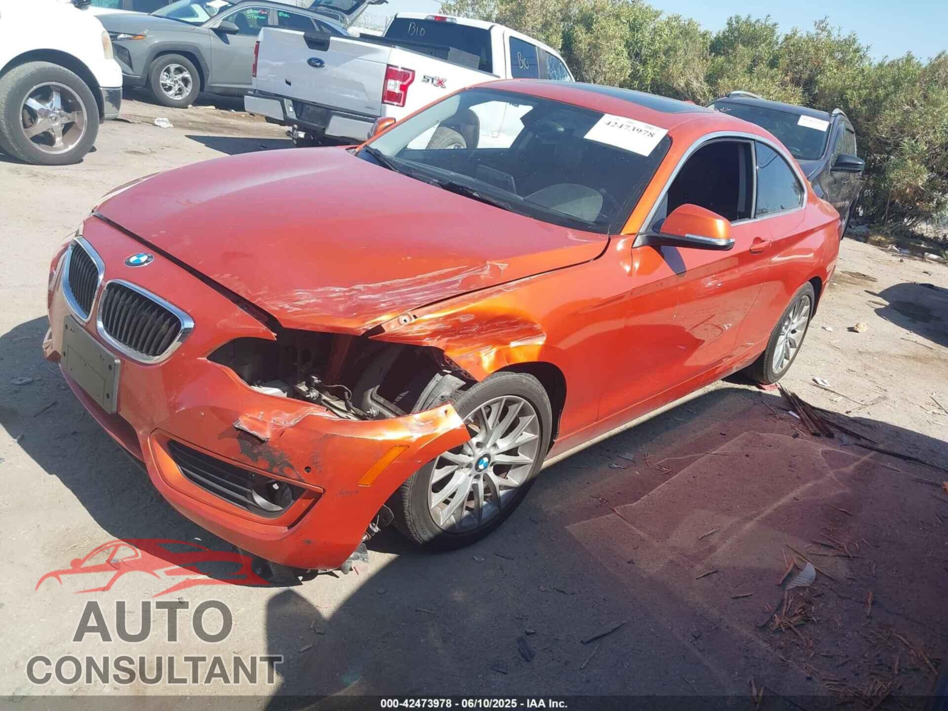 BMW 228I 2015 - WBA1F5C55FV257025