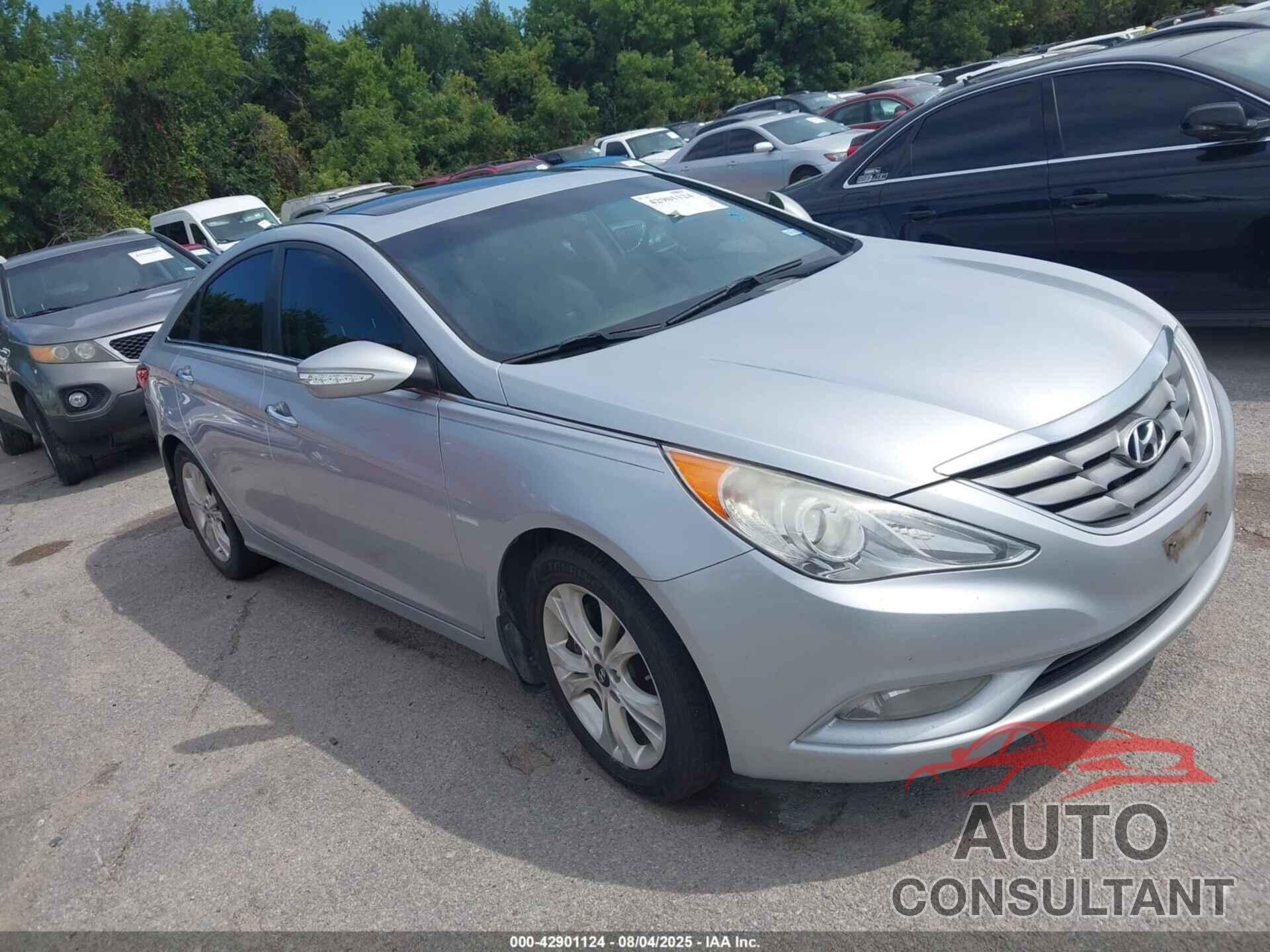 HYUNDAI SONATA 2013 - 5NPEC4AC6DH529684