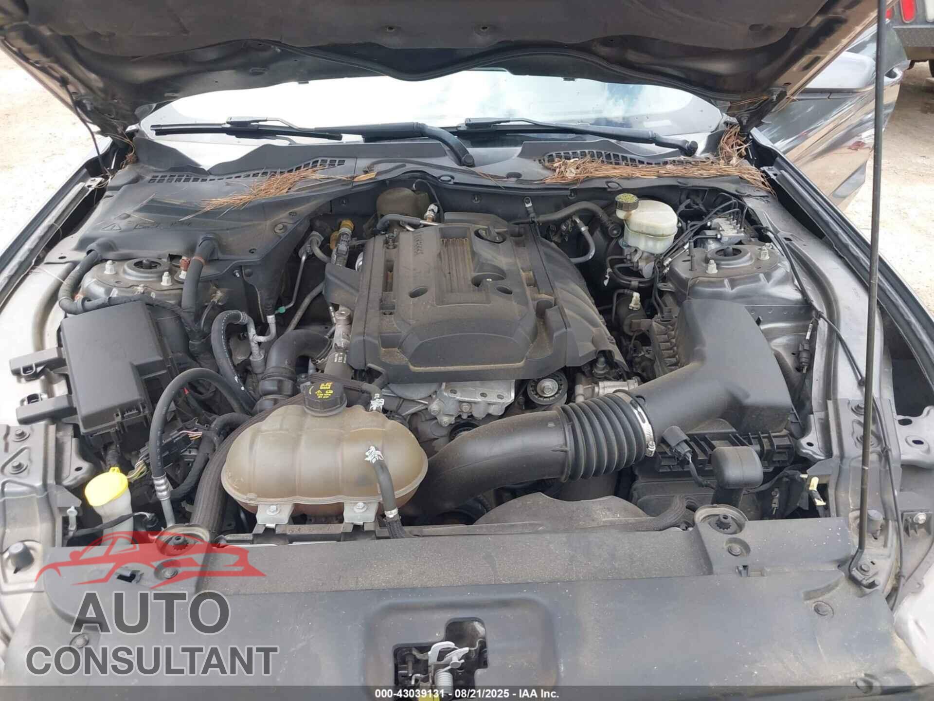FORD MUSTANG 2015 - 1FA6P8TH7F5368604