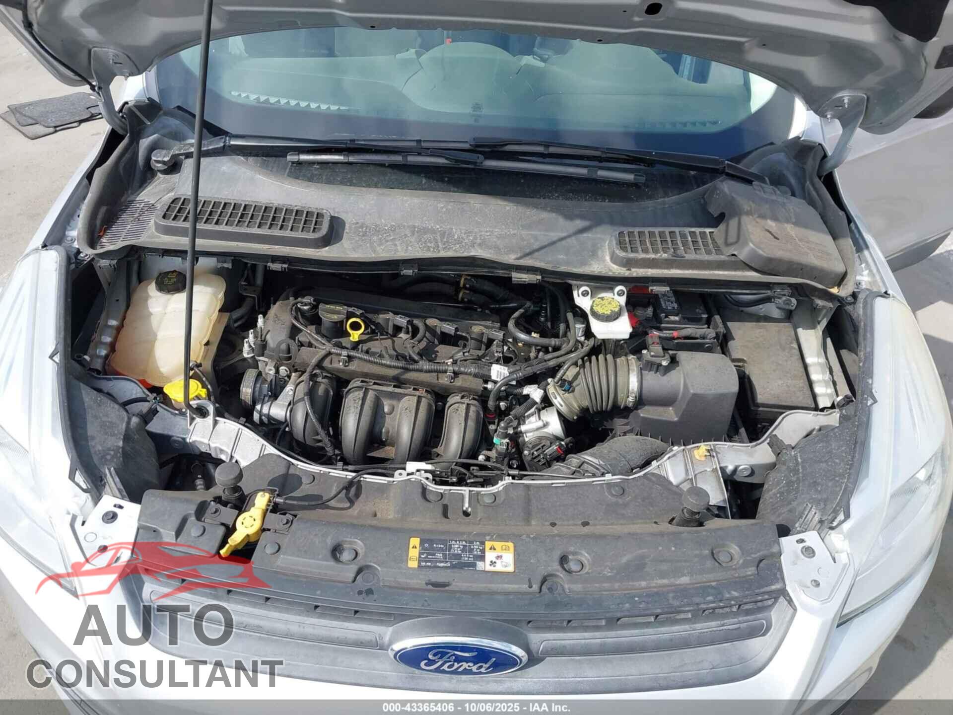 FORD ESCAPE 2014 - 1FMCU0F74EUA70974