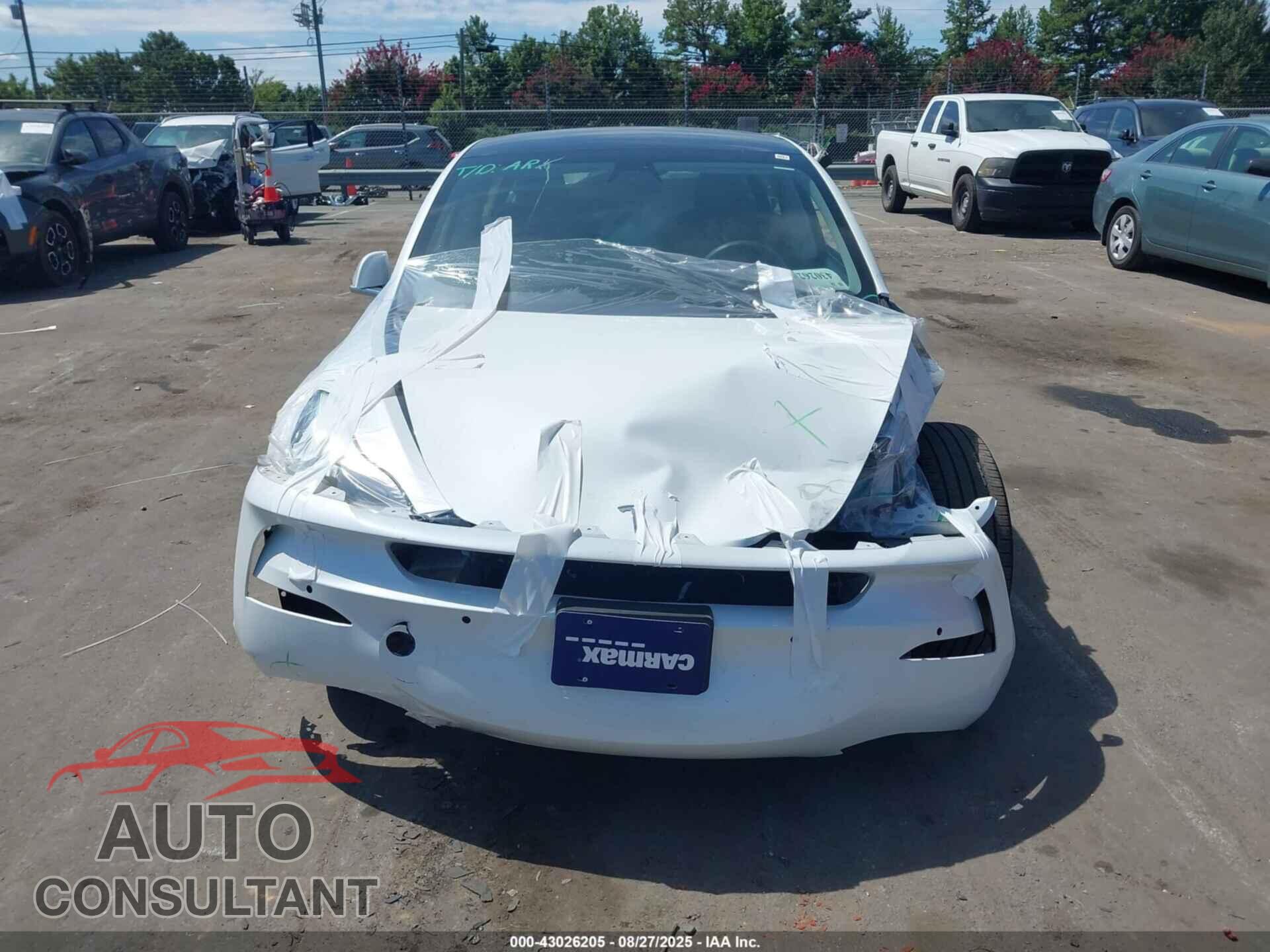 TESLA MODEL 3 2019 - 5YJ3E1EA1KF449472