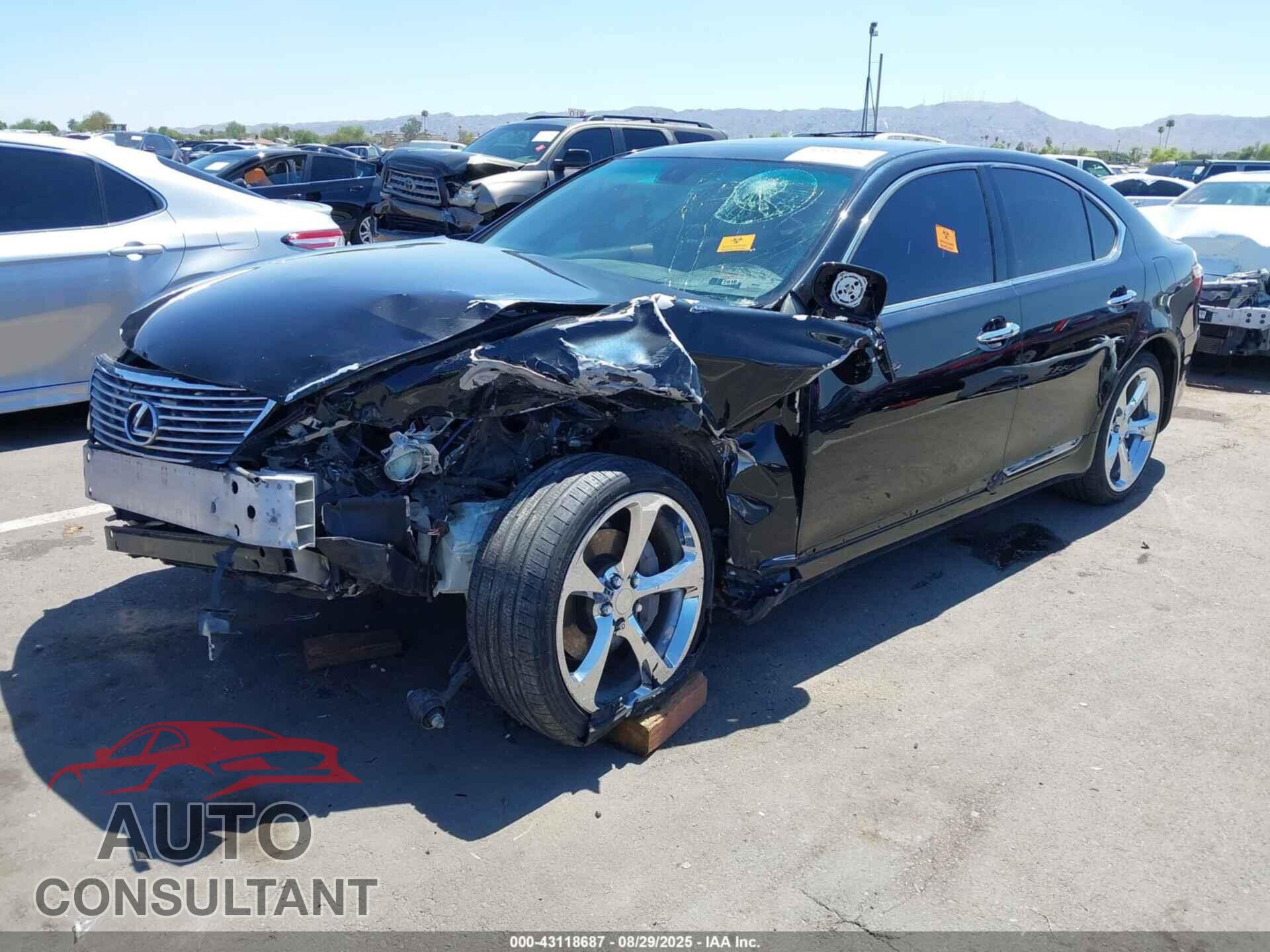 LEXUS LS 460 2009 - JTHBL46F895088314