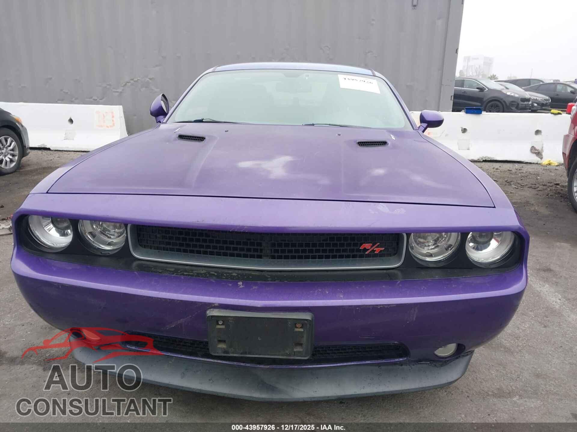 DODGE CHALLENGER 2014 - 2C3CDYBT0EH216834
