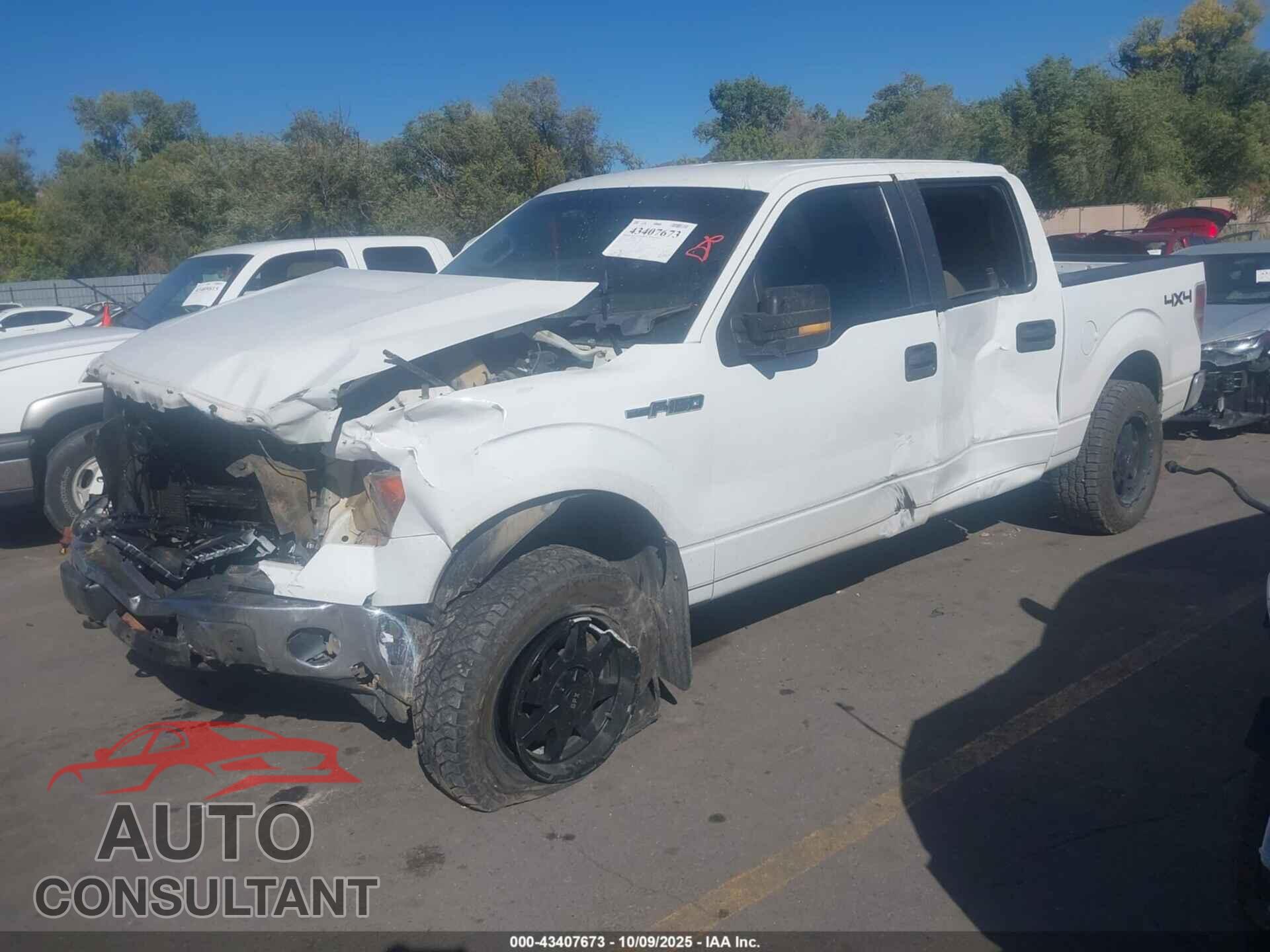 FORD F-150 2010 - 1FTFW1EVXAFA79663