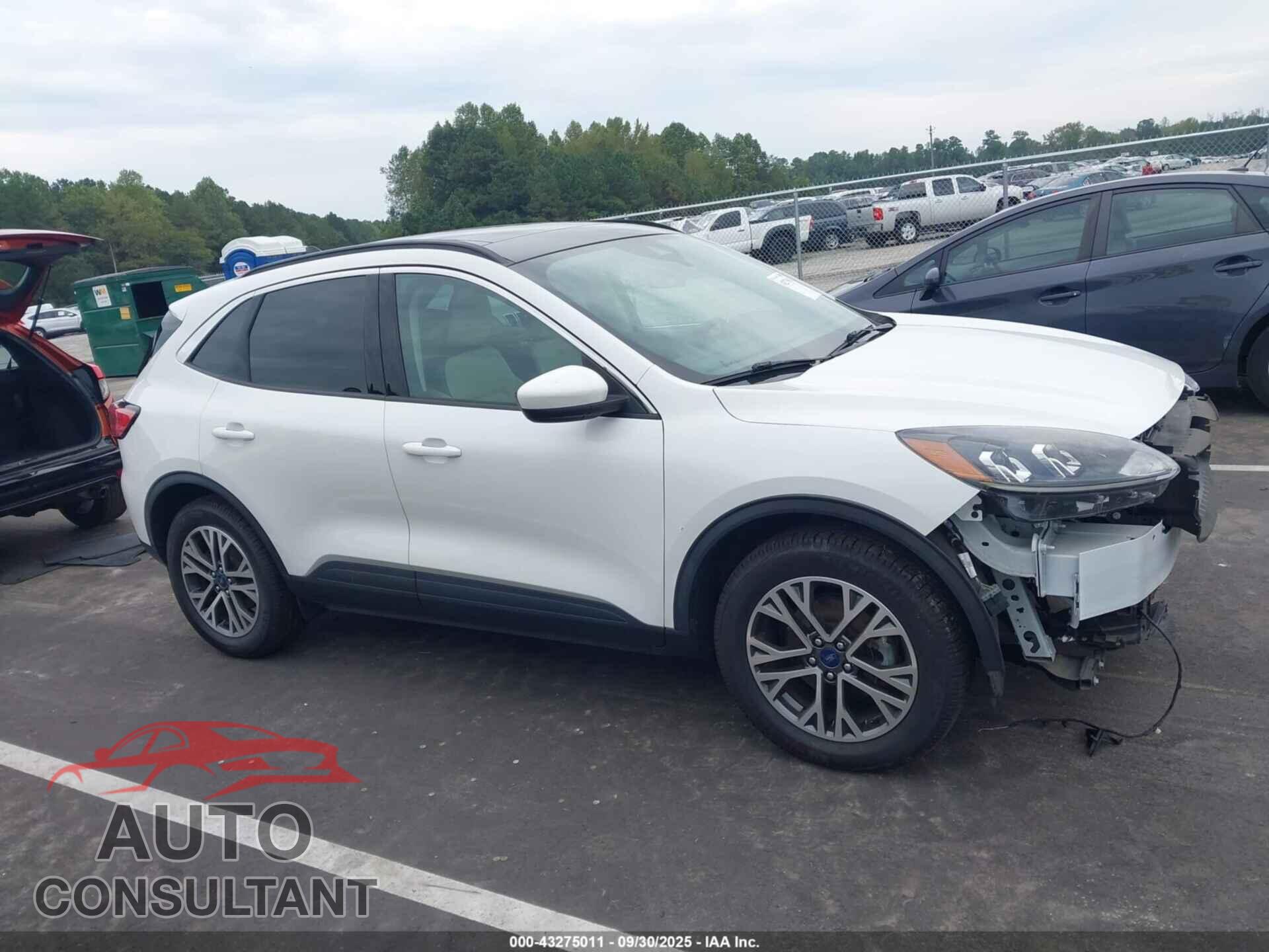 FORD ESCAPE 2020 - 1FMCU9H61LUA95062