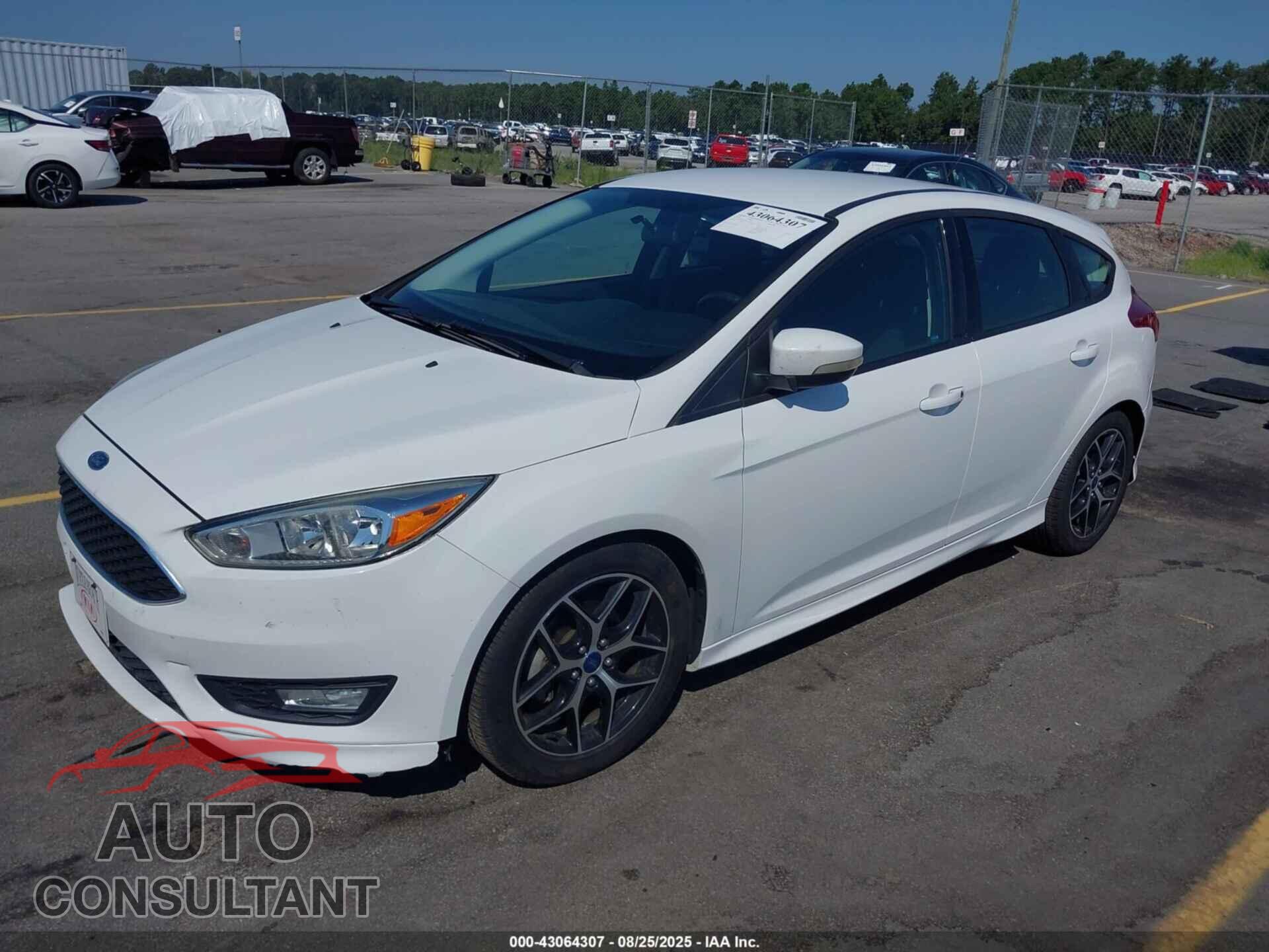 FORD FOCUS 2016 - 1FADP3K24GL331241