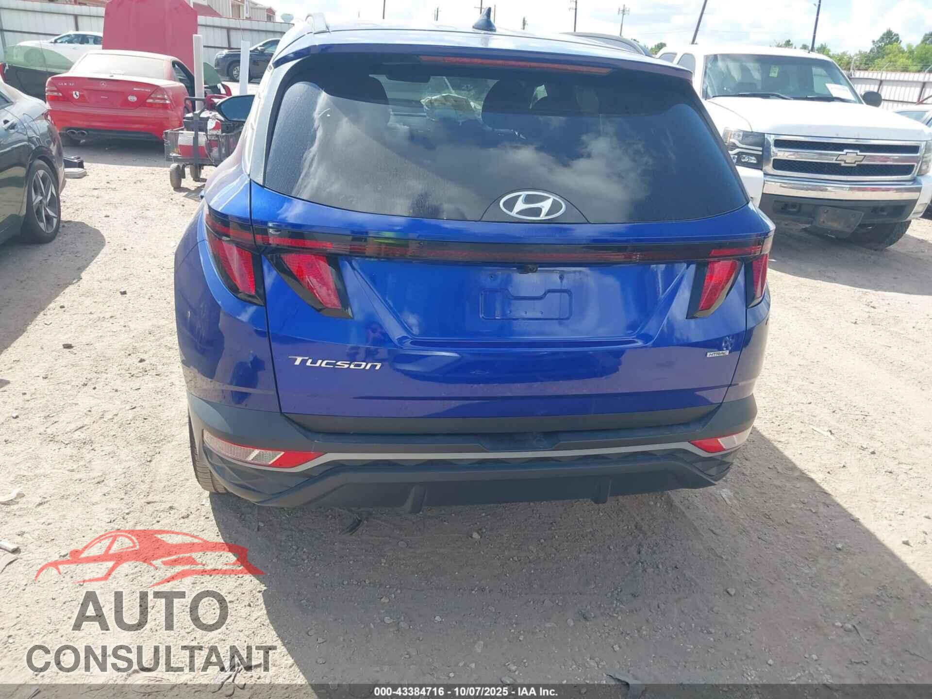 HYUNDAI TUCSON 2024 - 5NMJBCDE9RH347345