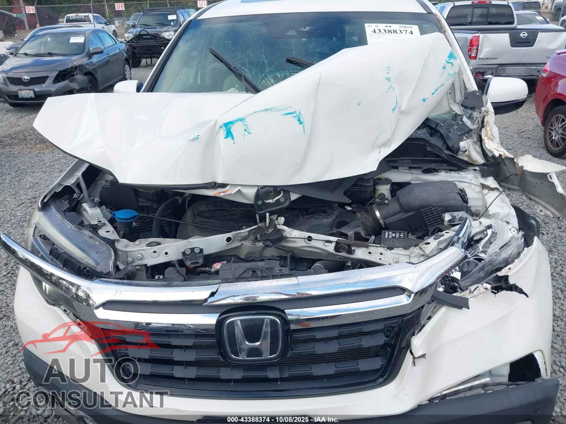 HONDA RIDGELINE 2019 - 5FPYK3F75KB007587