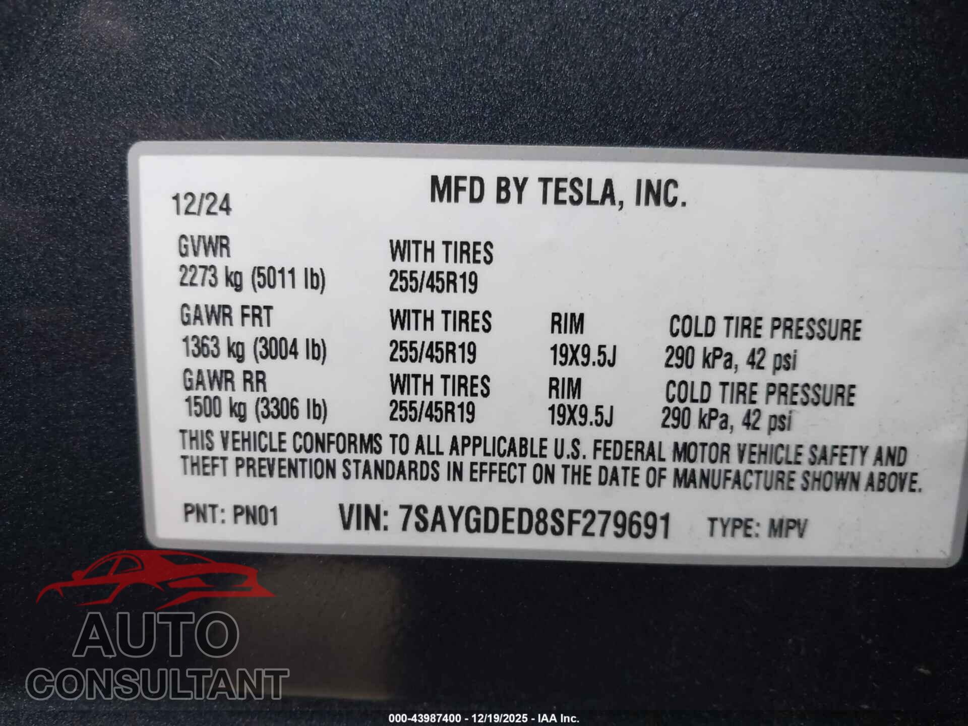 TESLA MODEL Y 2025 - 7SAYGDED8SF279691