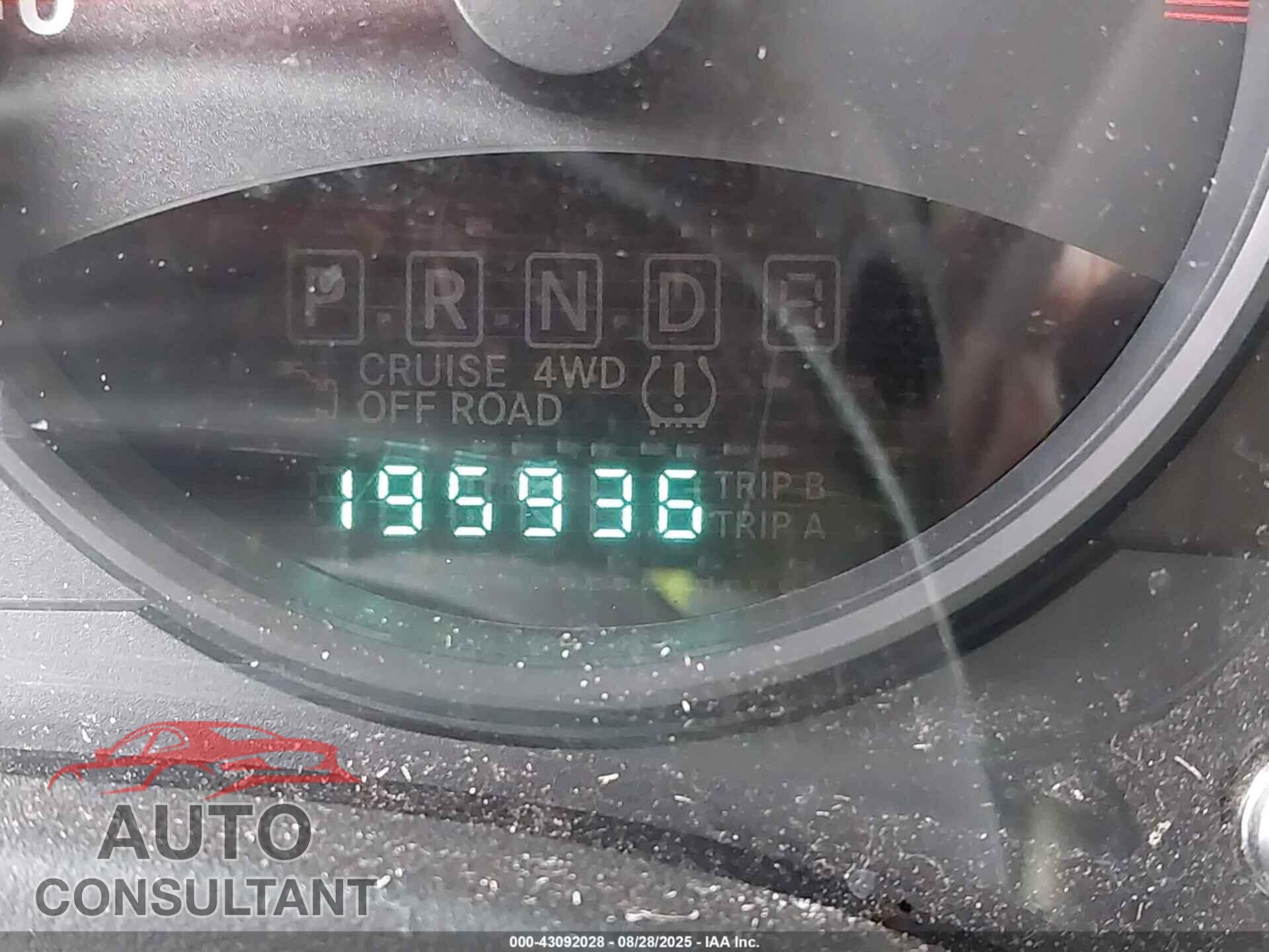 JEEP COMPASS 2011 - 1J4NT1FB5BD221417