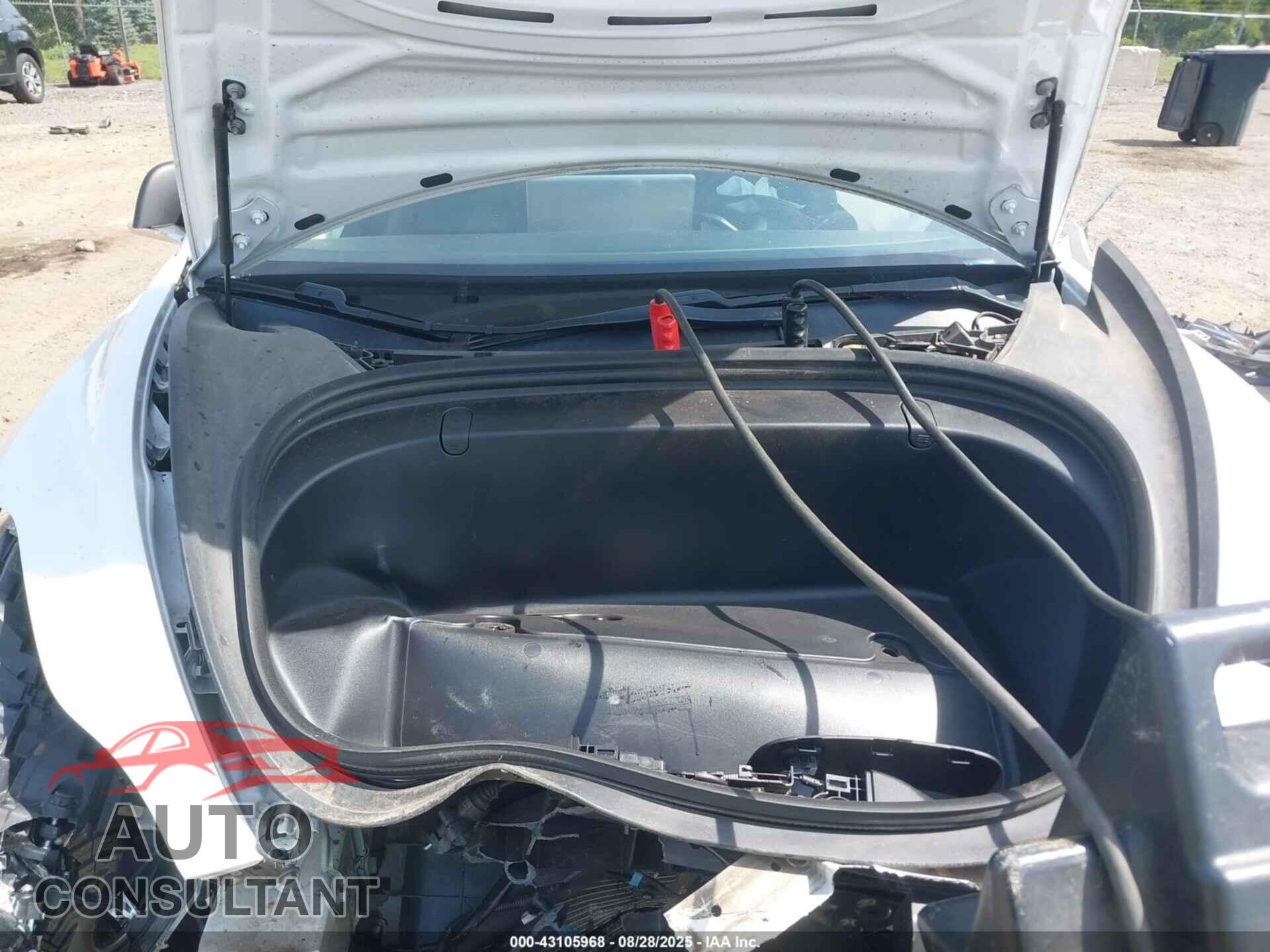 TESLA MODEL 3 2019 - 5YJ3E1EA2KF483369