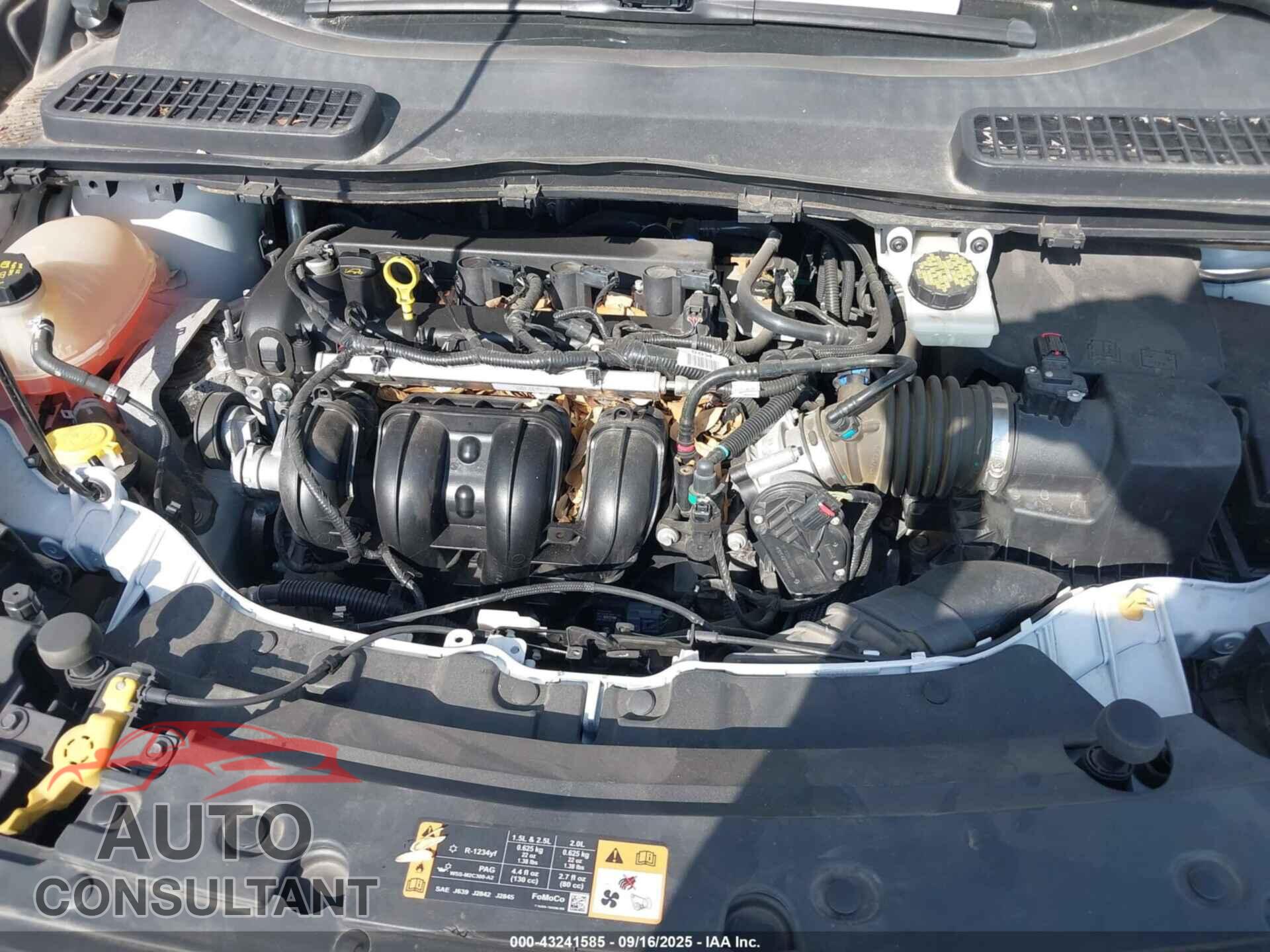 FORD ESCAPE 2019 - 1FMCU0F74KUC02675