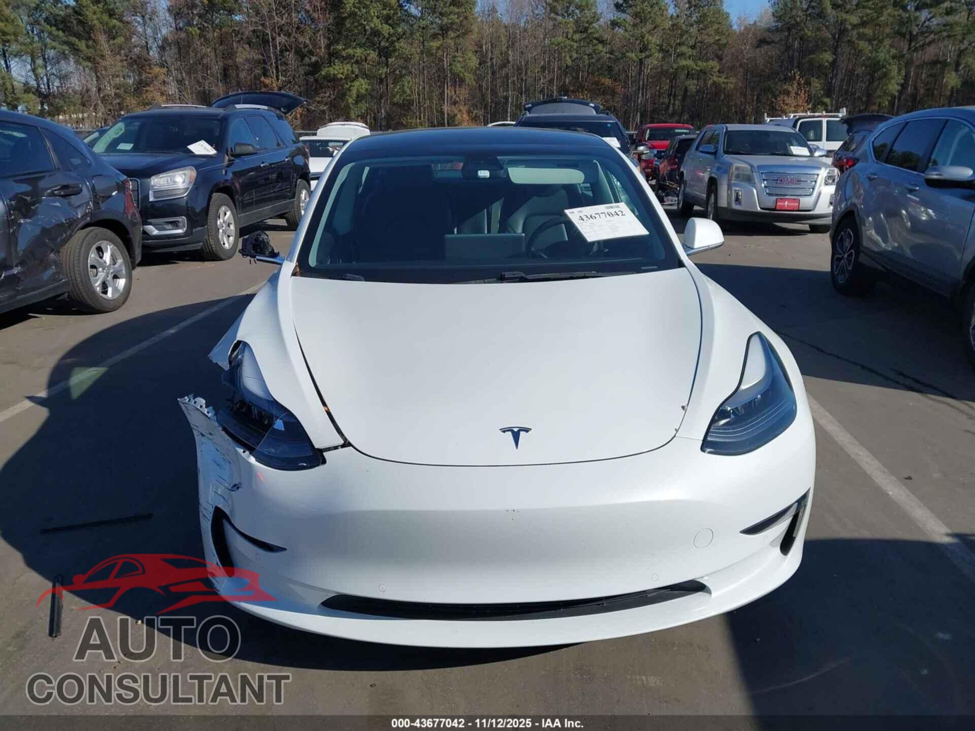 TESLA MODEL 3 2020 - 5YJ3E1EBXLF637482