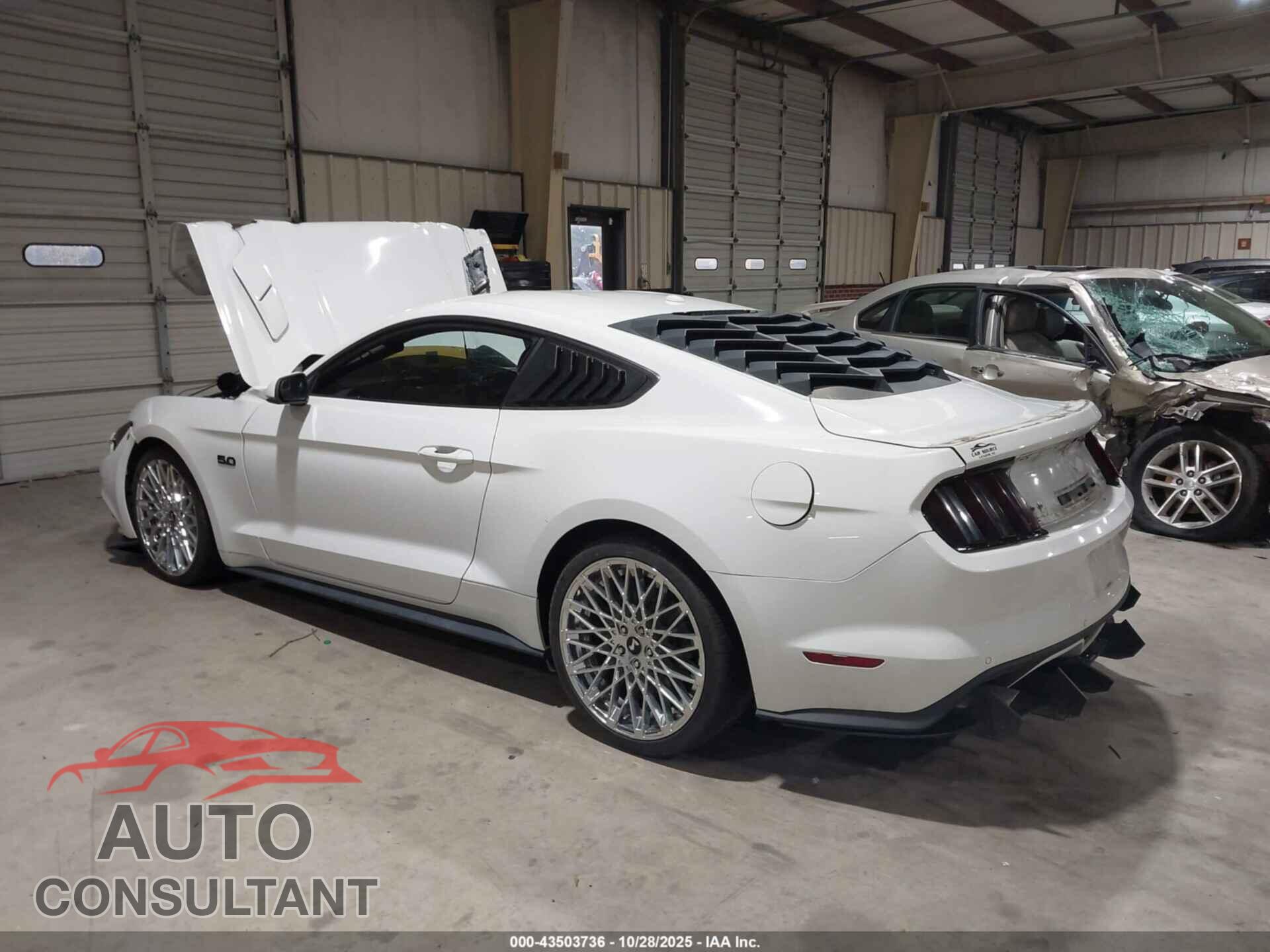 FORD MUSTANG 2017 - 1FA6P8CF8H5342787