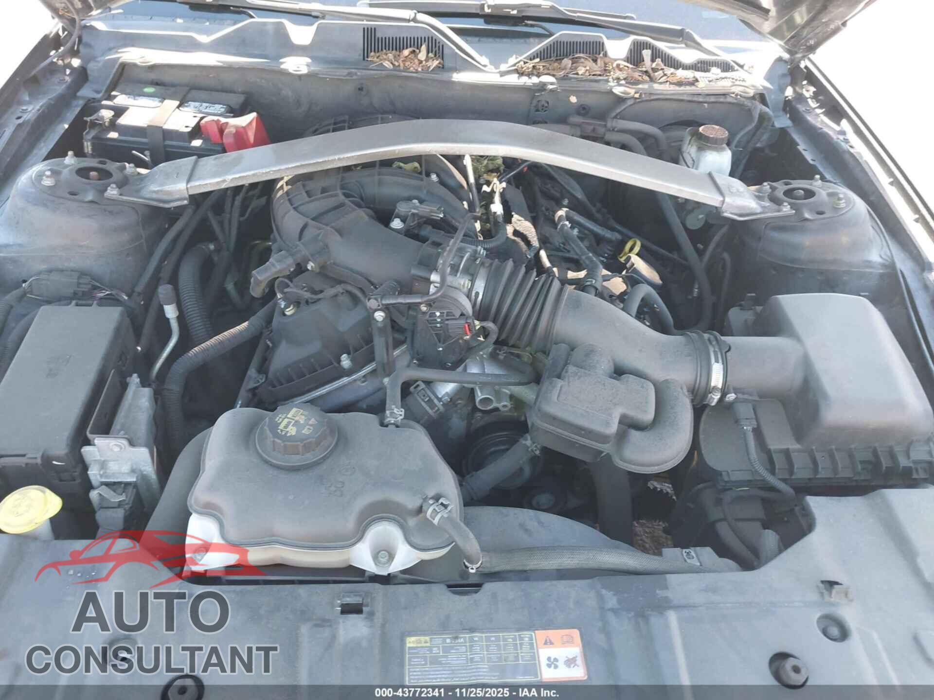 FORD MUSTANG 2014 - 1ZVBP8EM0E5213228