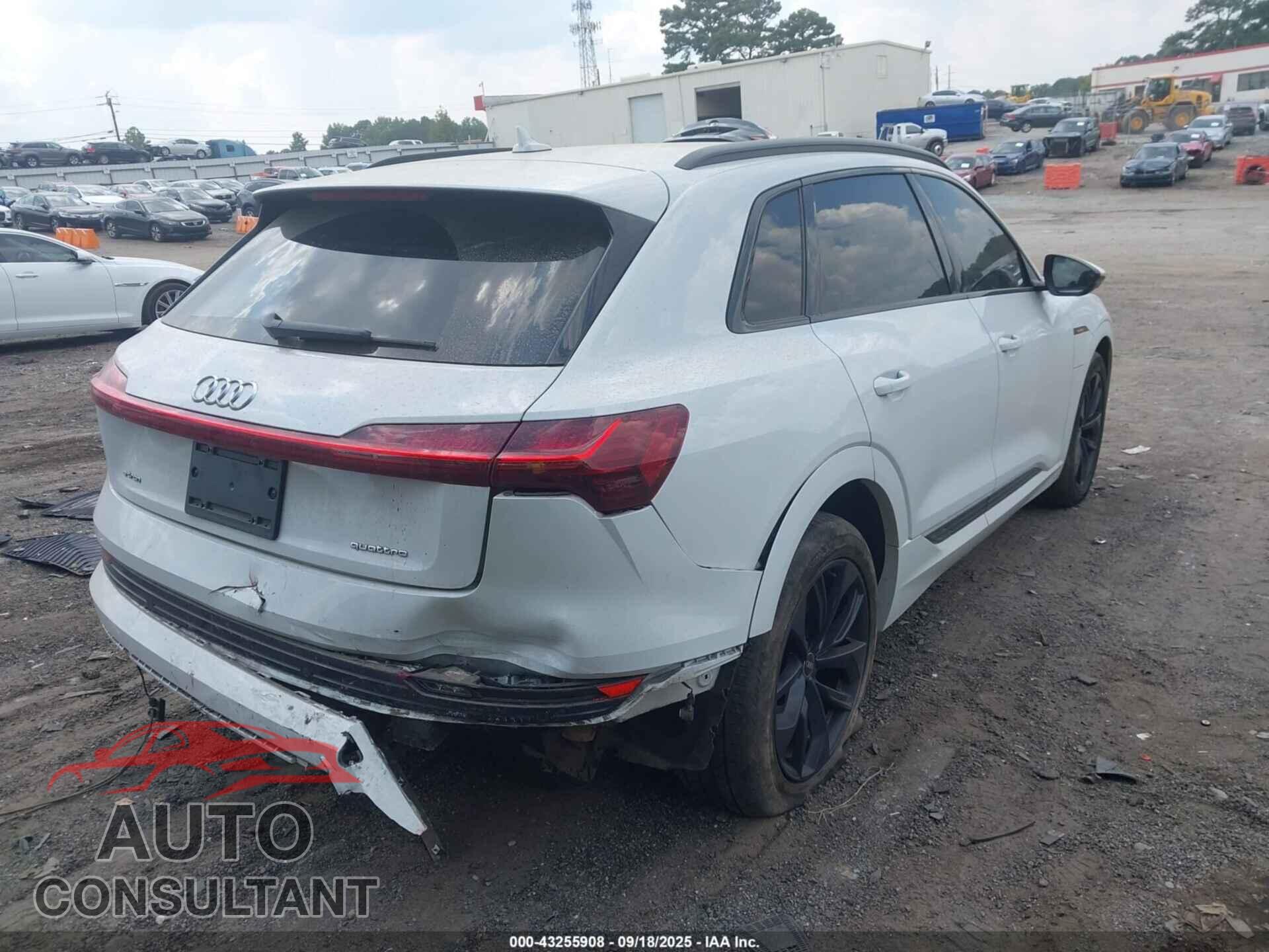 AUDI E-TRON 2021 - WA1LAAGEXMB037787