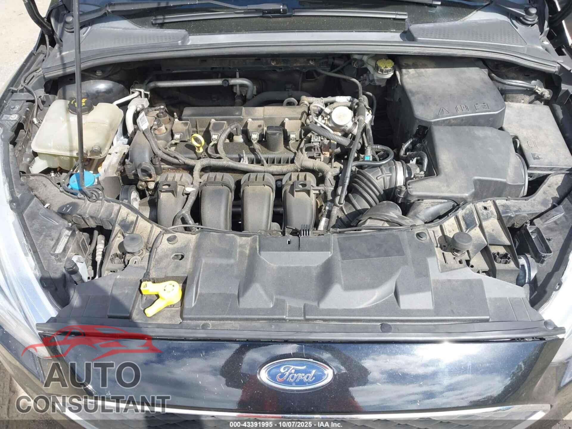 FORD FOCUS 2016 - 1FADP3F25GL377879