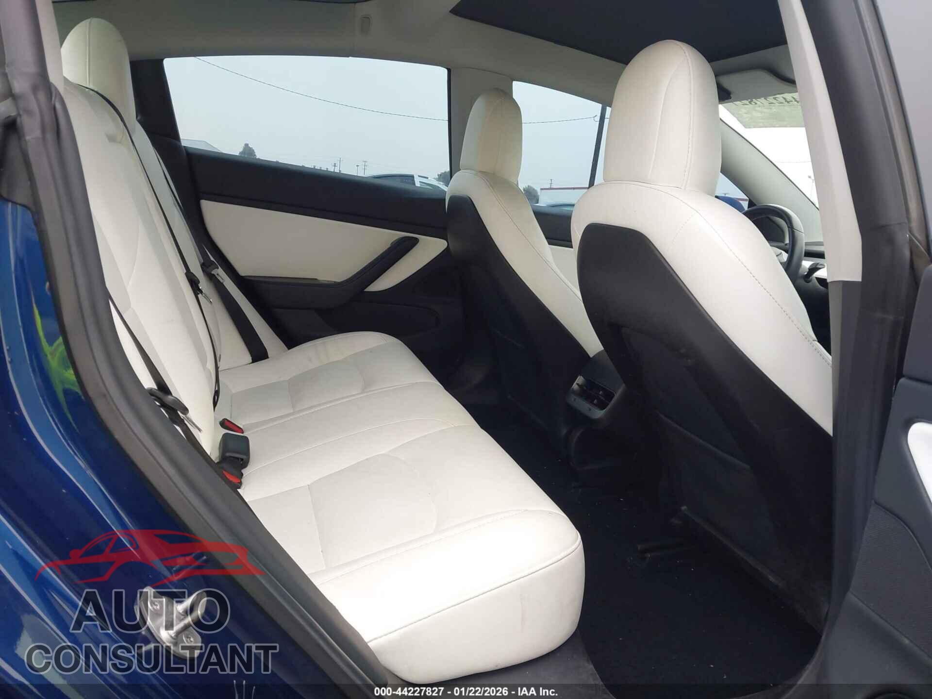 TESLA MODEL 3 2019 - 5YJ3E1EA5KF402820