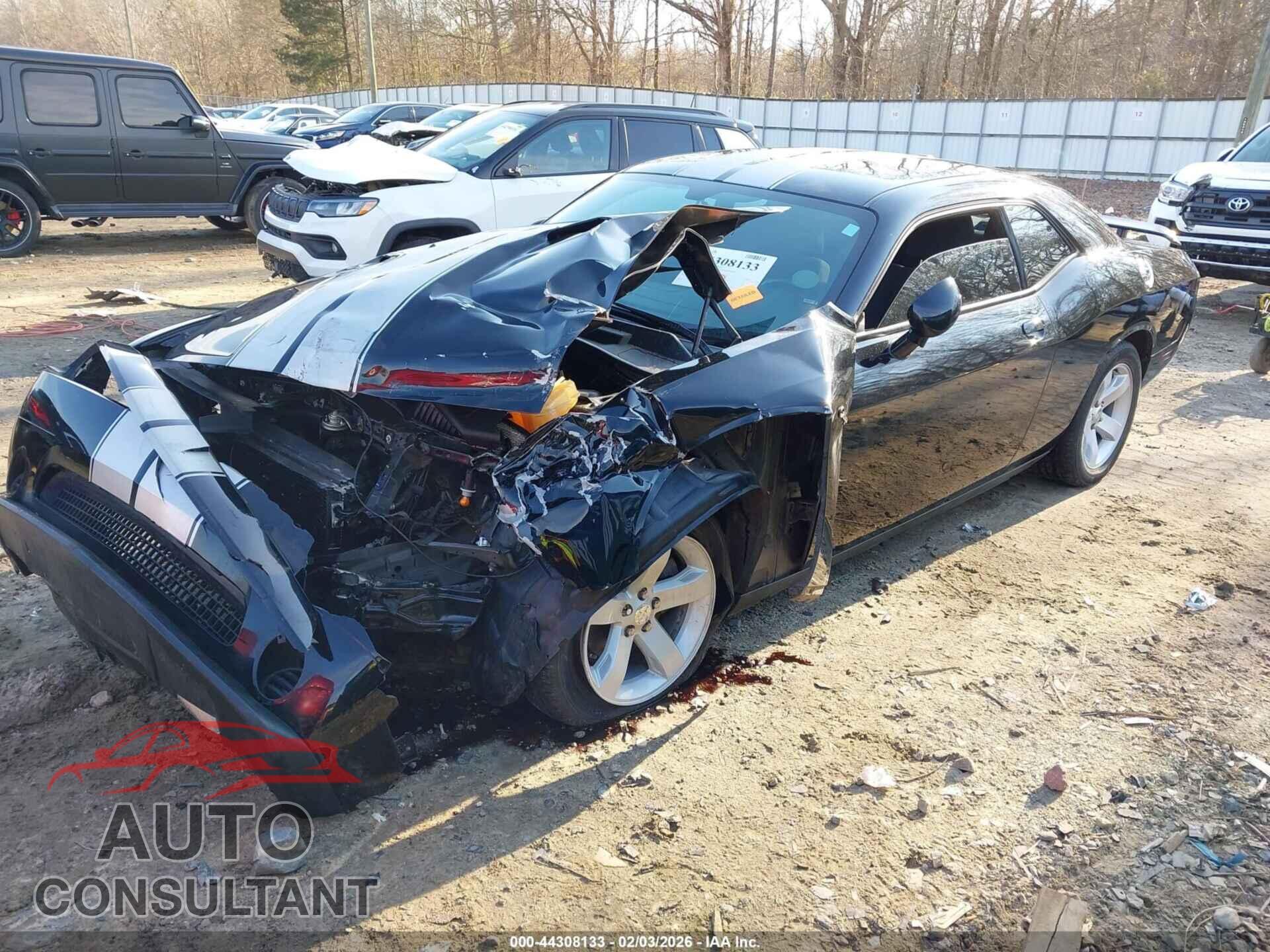 DODGE CHALLENGER 2012 - 2C3CDYAG4CH254407