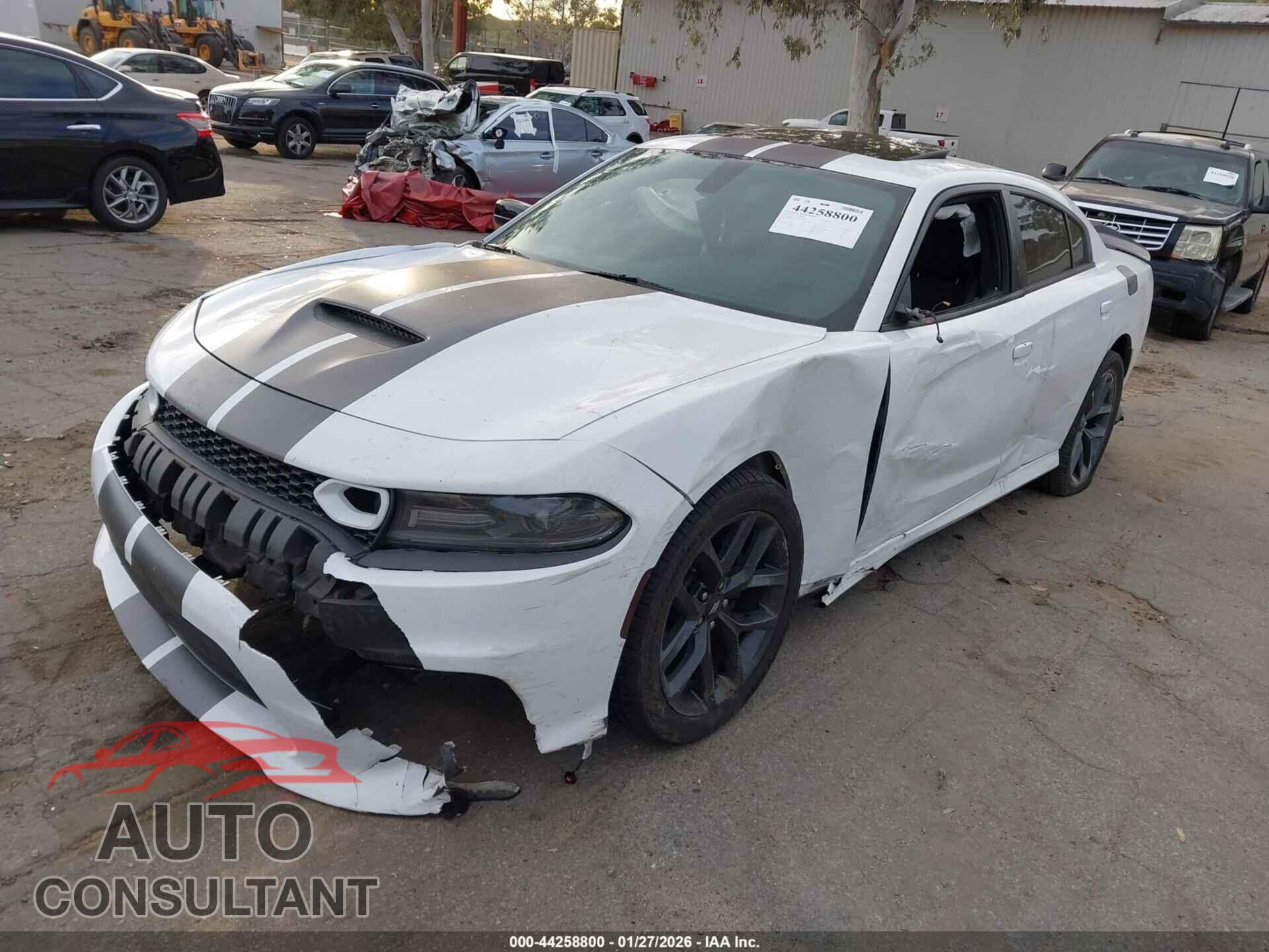 DODGE CHARGER 2019 - 2C3CDXCTXKH584300