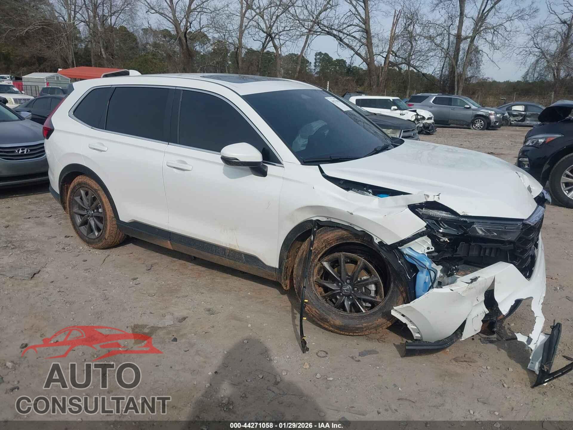 HONDA CR-V 2026 - 2HKRS4H77TH446597