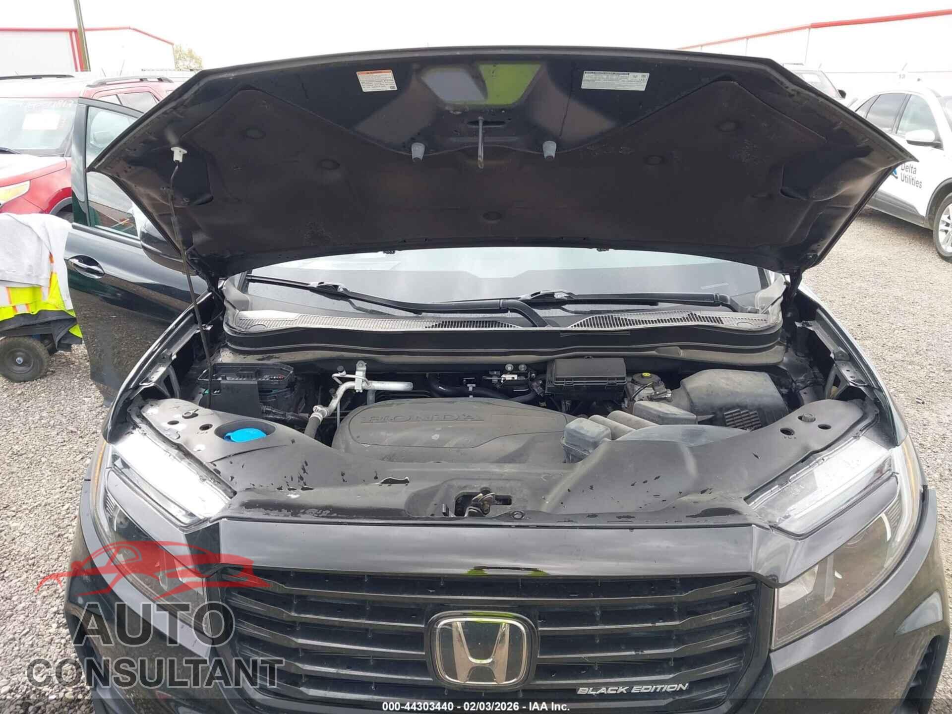 HONDA RIDGELINE 2021 - 5FPYK3F89MB016093