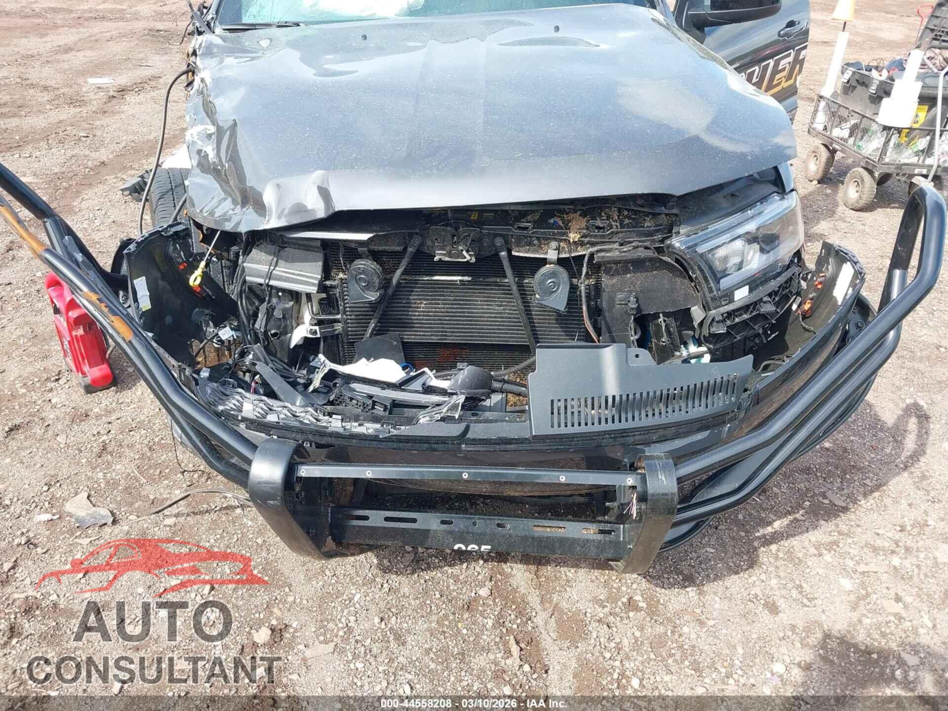 DODGE DURANGO 2025 - 1C4SDJFT8SC559916