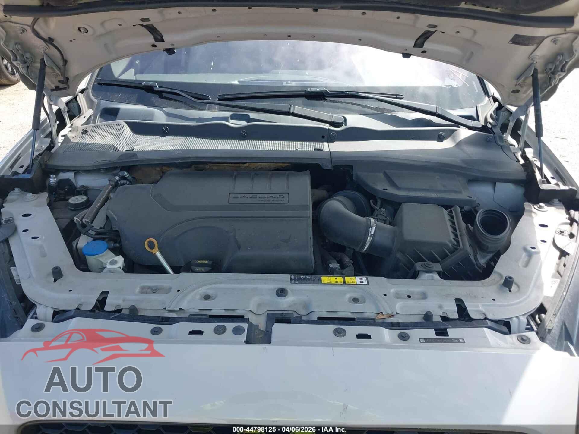 JAGUAR E-PACE 2019 - SADFJ2FXXK1Z46700