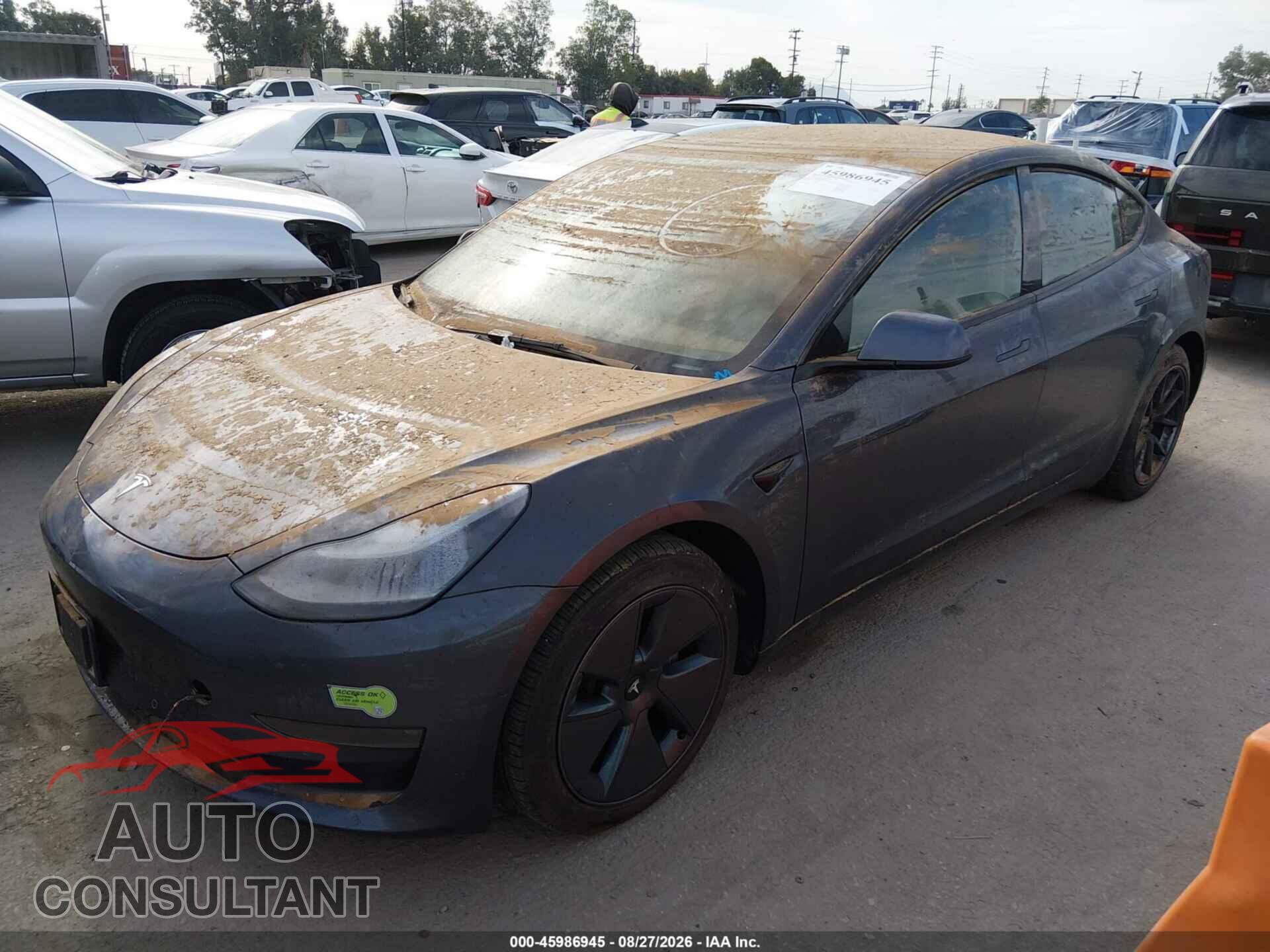TESLA MODEL 3 2022 - 5YJ3E1EBXNF178179