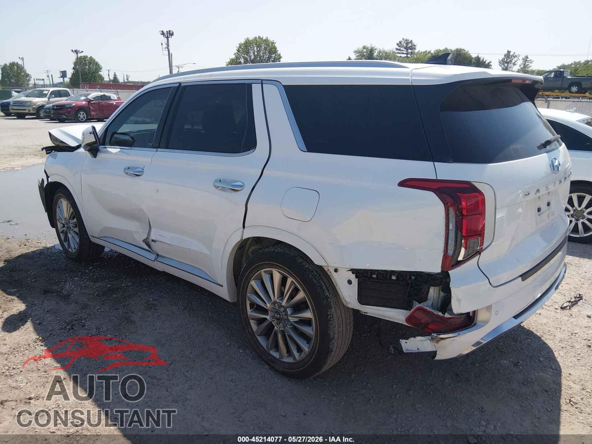 HYUNDAI PALISADE 2020 - KM8R5DHE2LU096108