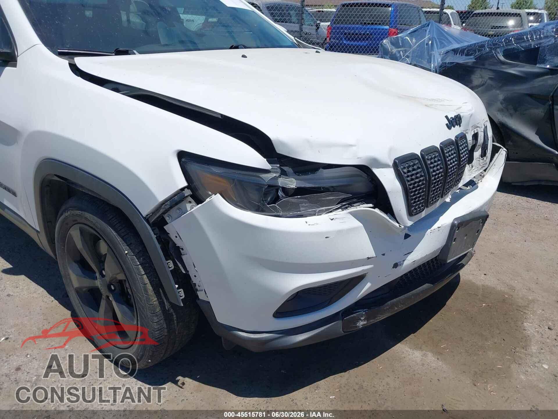 JEEP CHEROKEE 2020 - 1C4PJLLB1LD580821