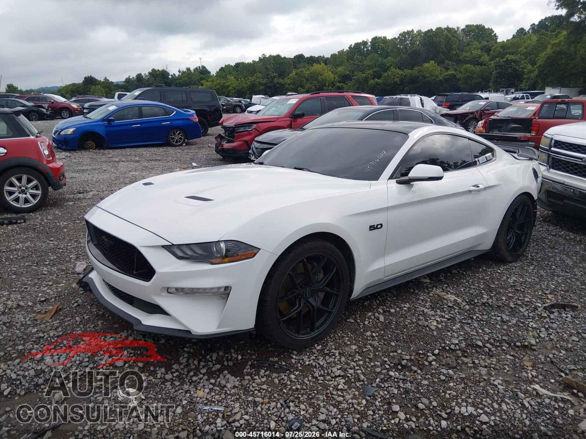 FORD MUSTANG 2019 - 1FA6P8CF5K5116780