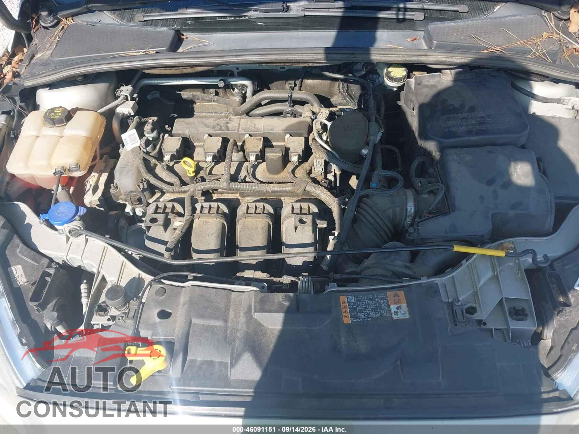 FORD FOCUS 2016 - 1FADP3J20GL223832