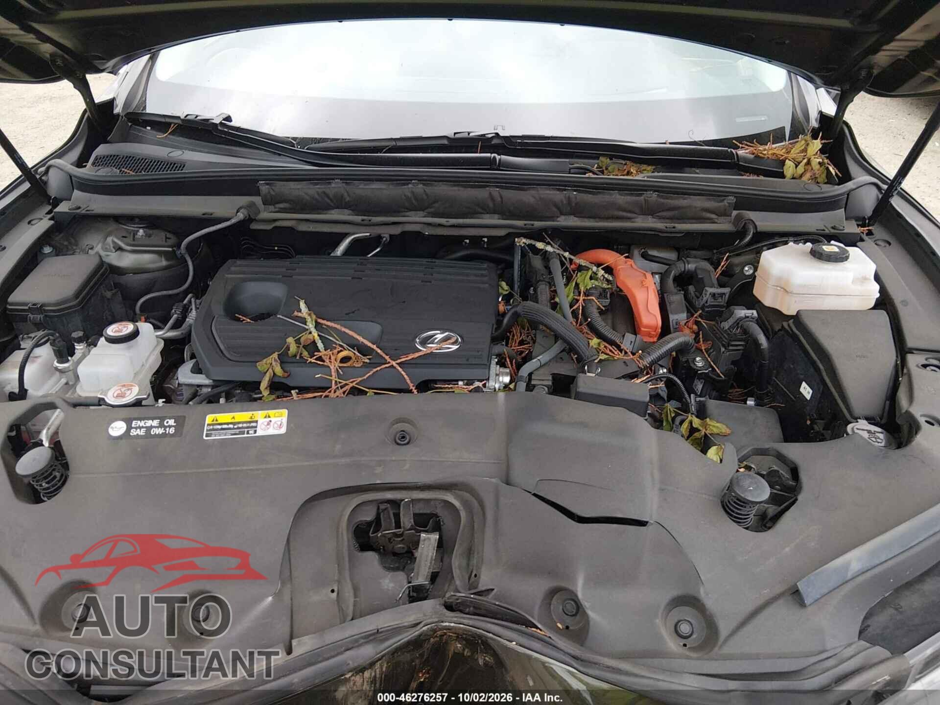 LEXUS RX 350H 2023 - 2T2BBMCA3PC013366
