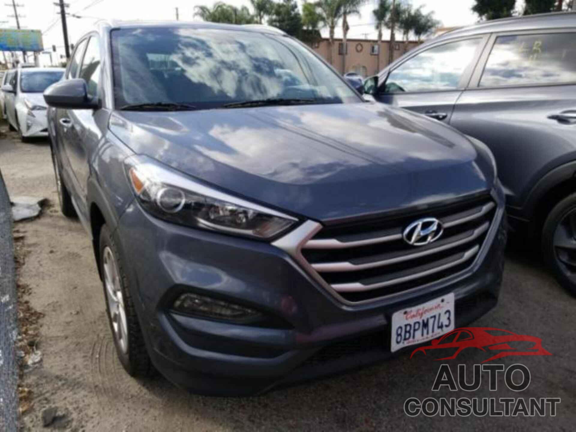 HYUNDAI TUCSON 2017 - KM8J33A47HU377262