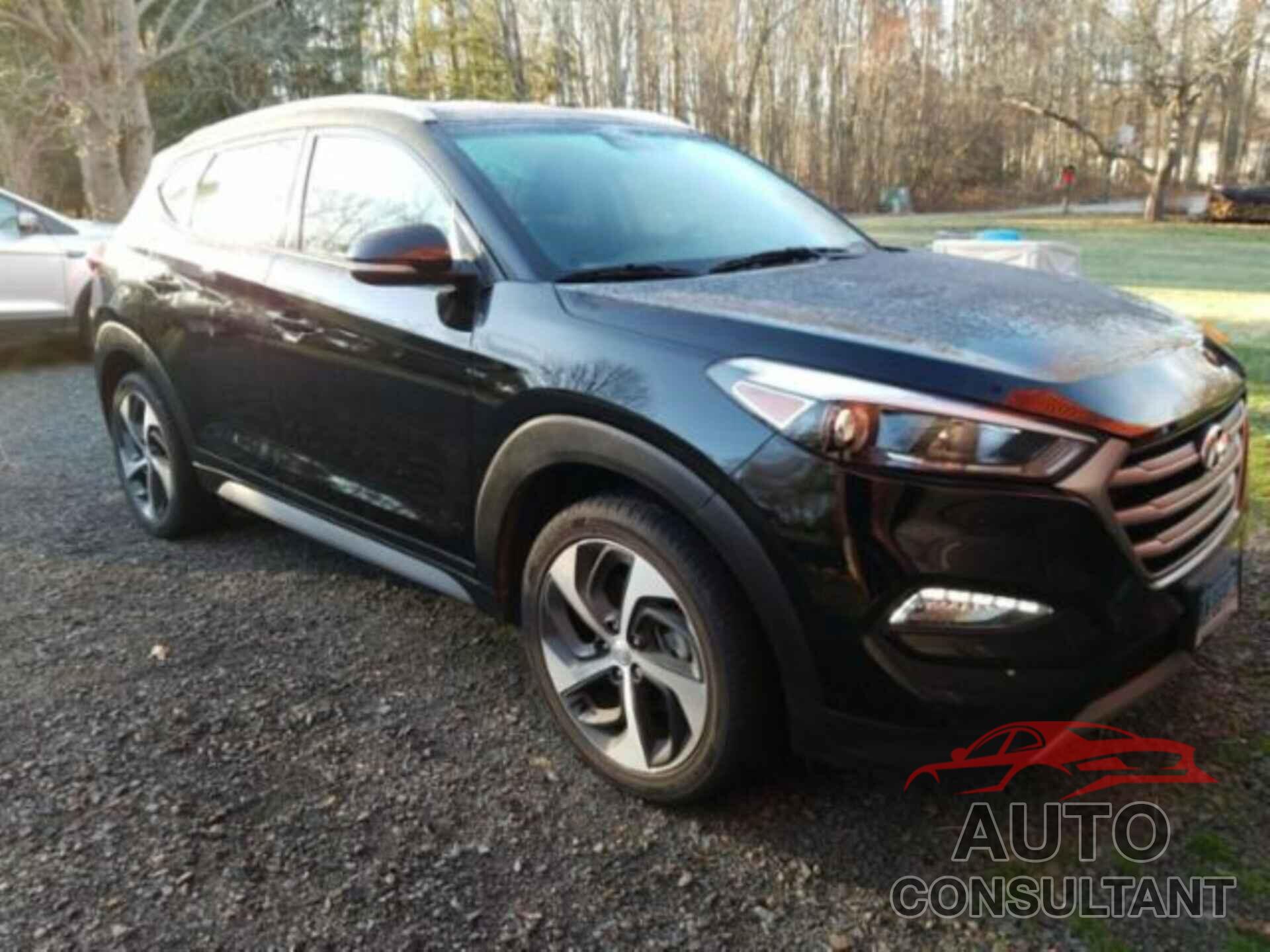 HYUNDAI TUCSON 2017 - KM8J3CA28HU589327